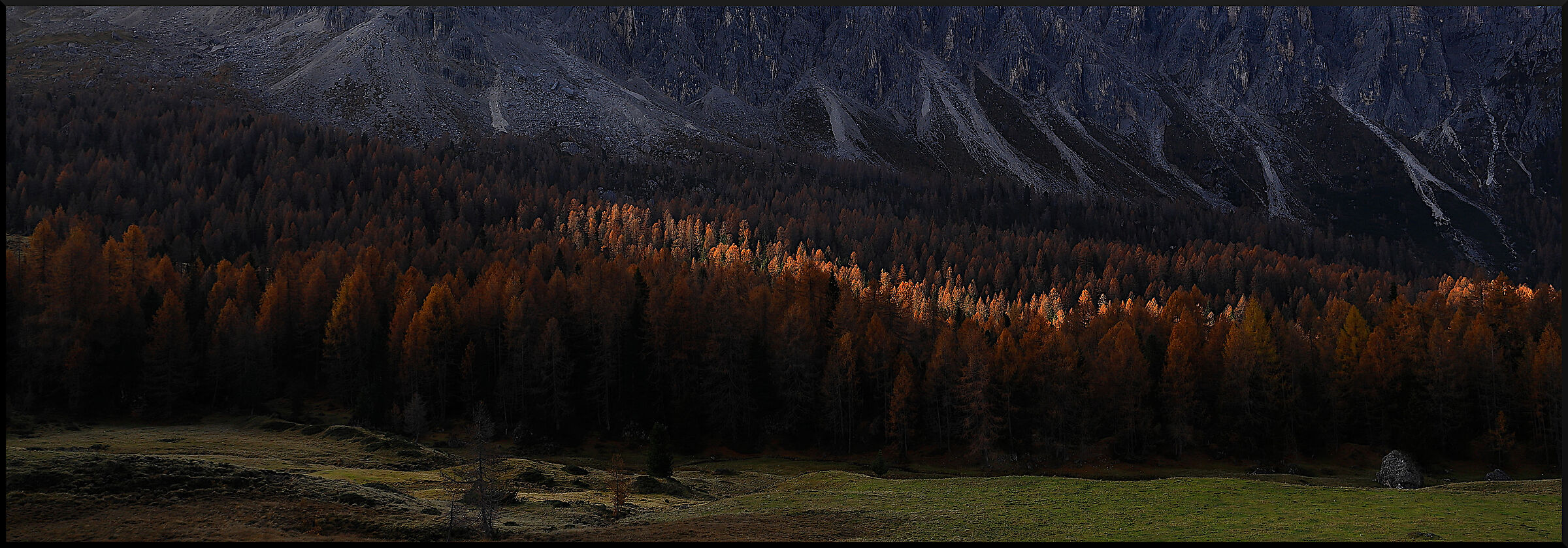 Blade of light on the forest