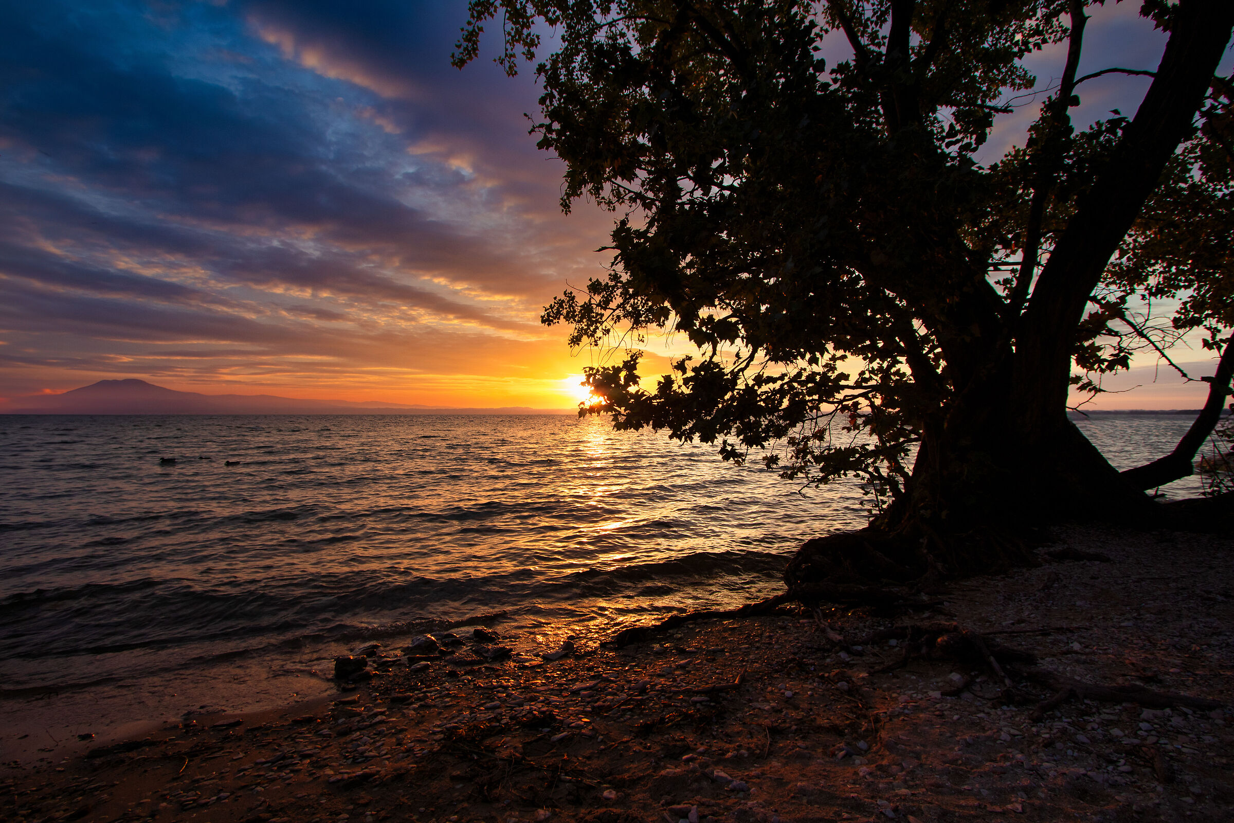 Sunrise over the lake