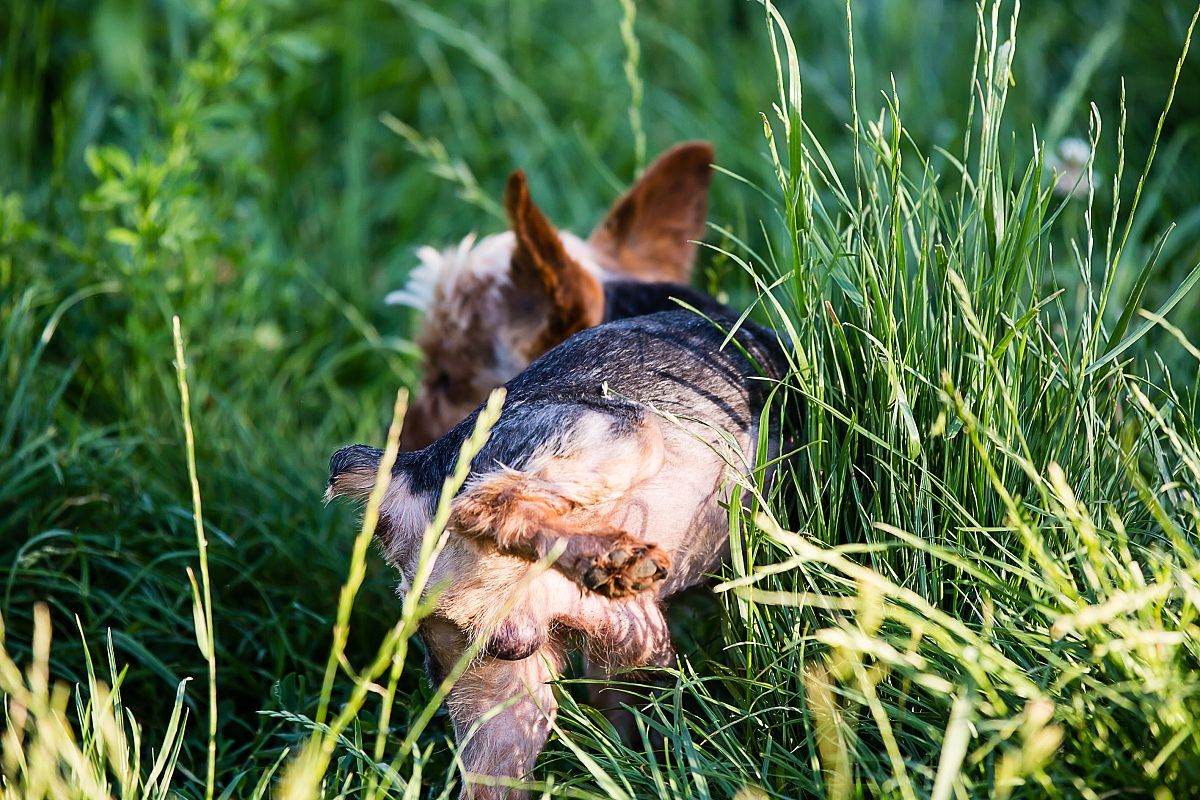 Spank and his needs ....