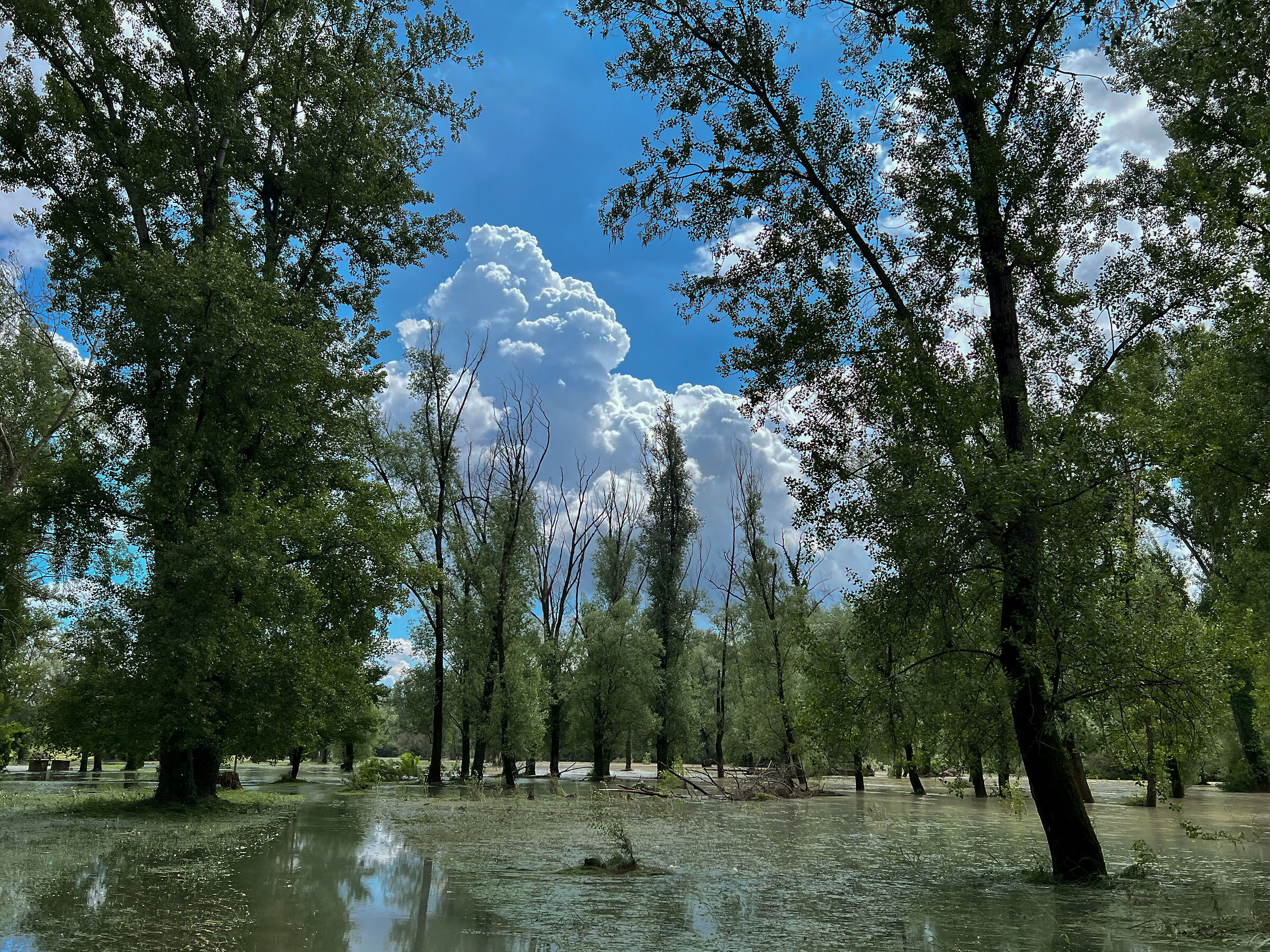 Piena del Brenta