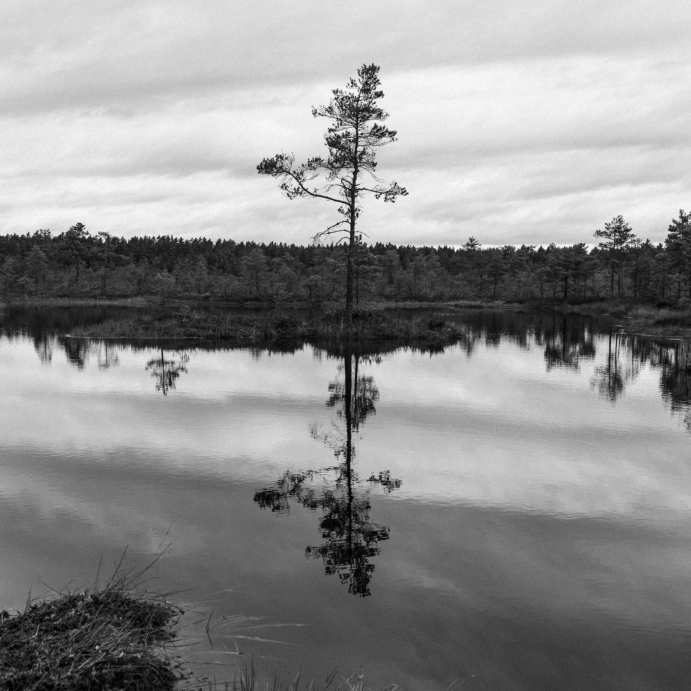 lahemaa national park