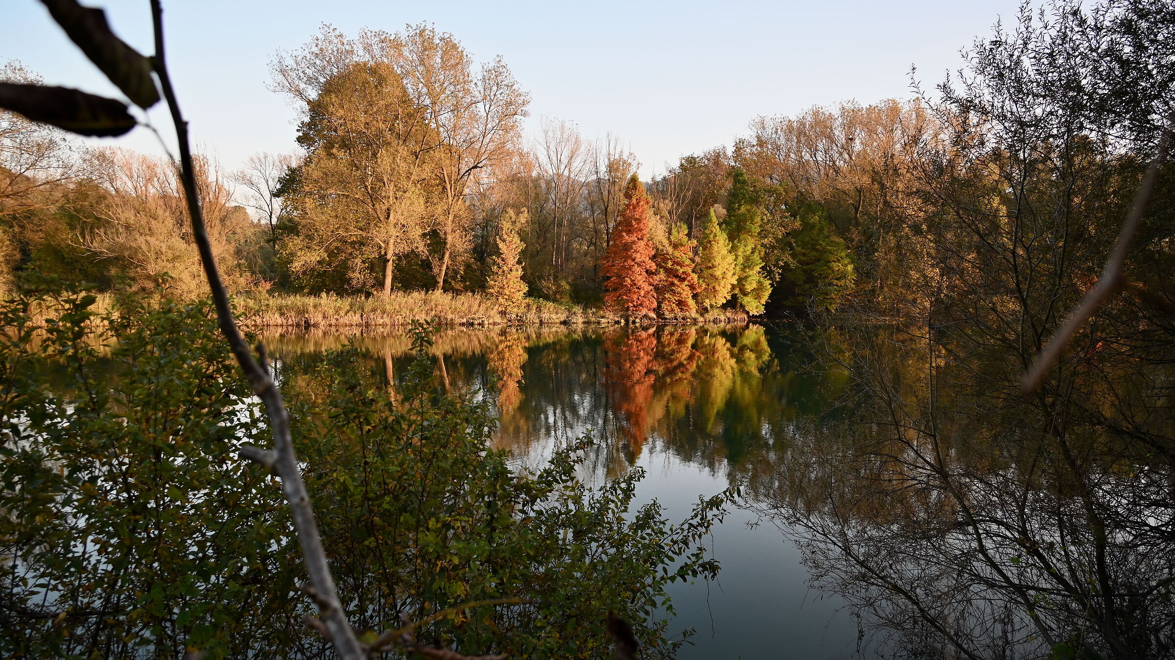 Colori d'autunno lungo l'Adda