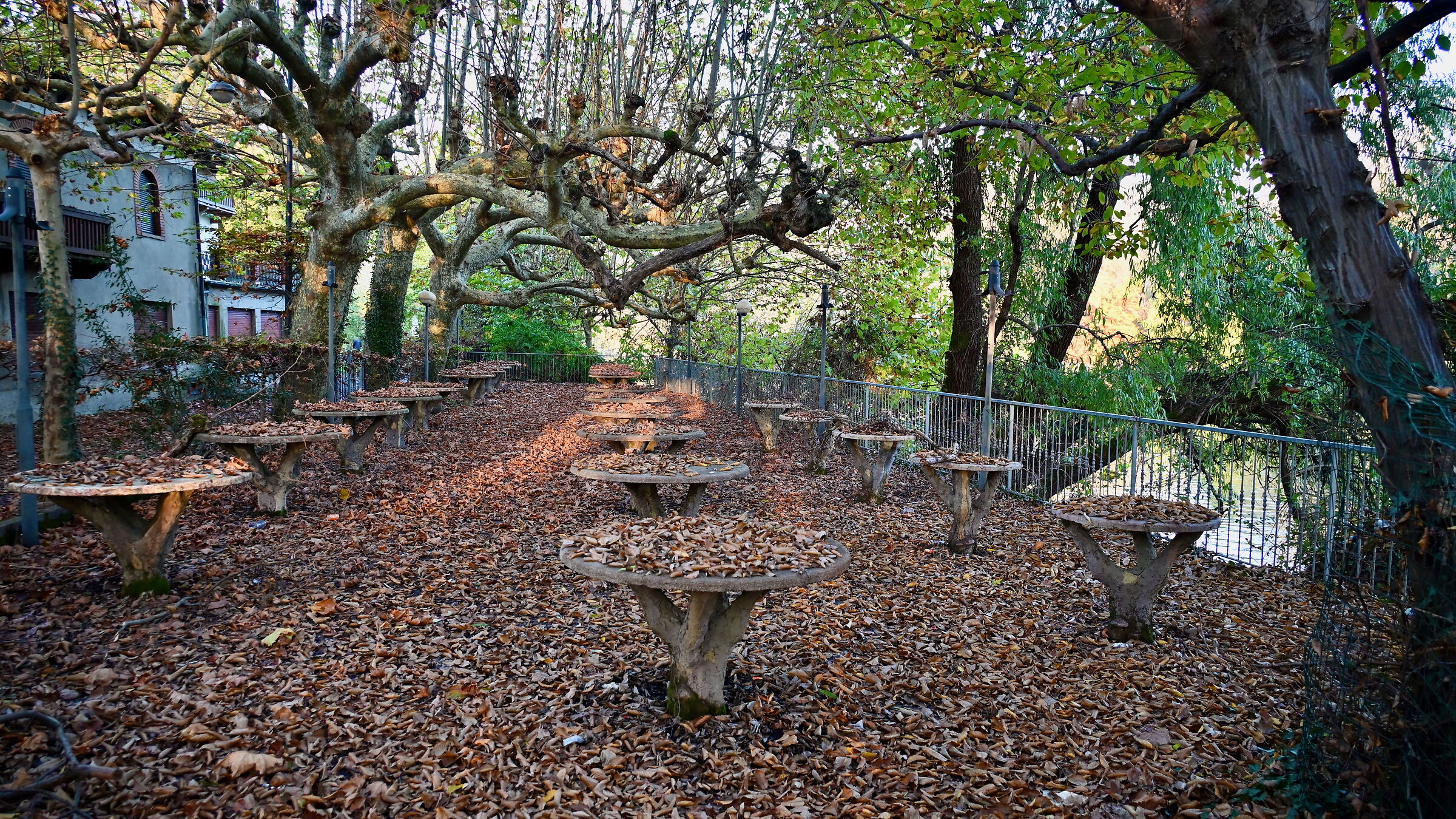 A tavola con l'autunno