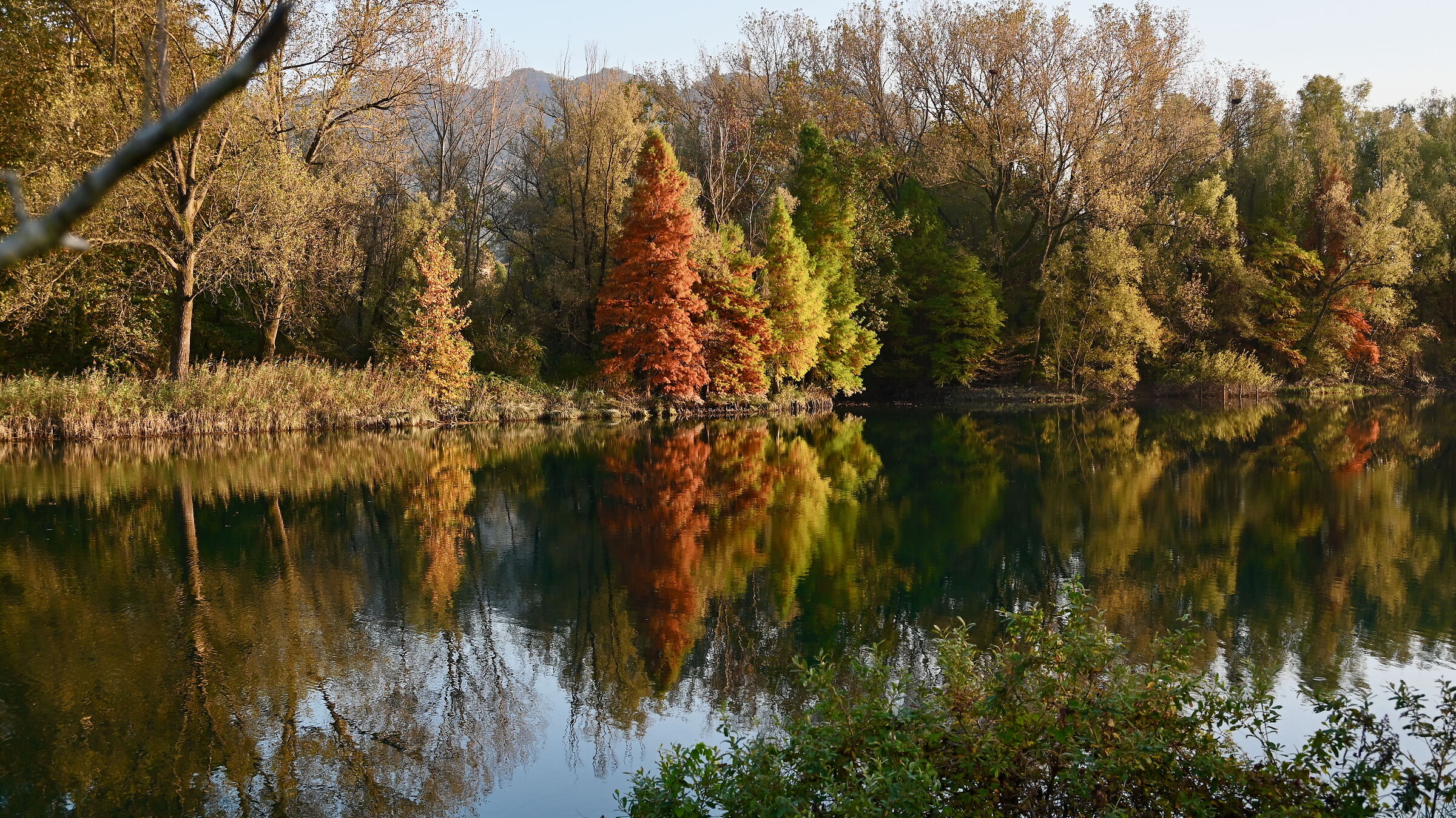 Autumn along the Adda