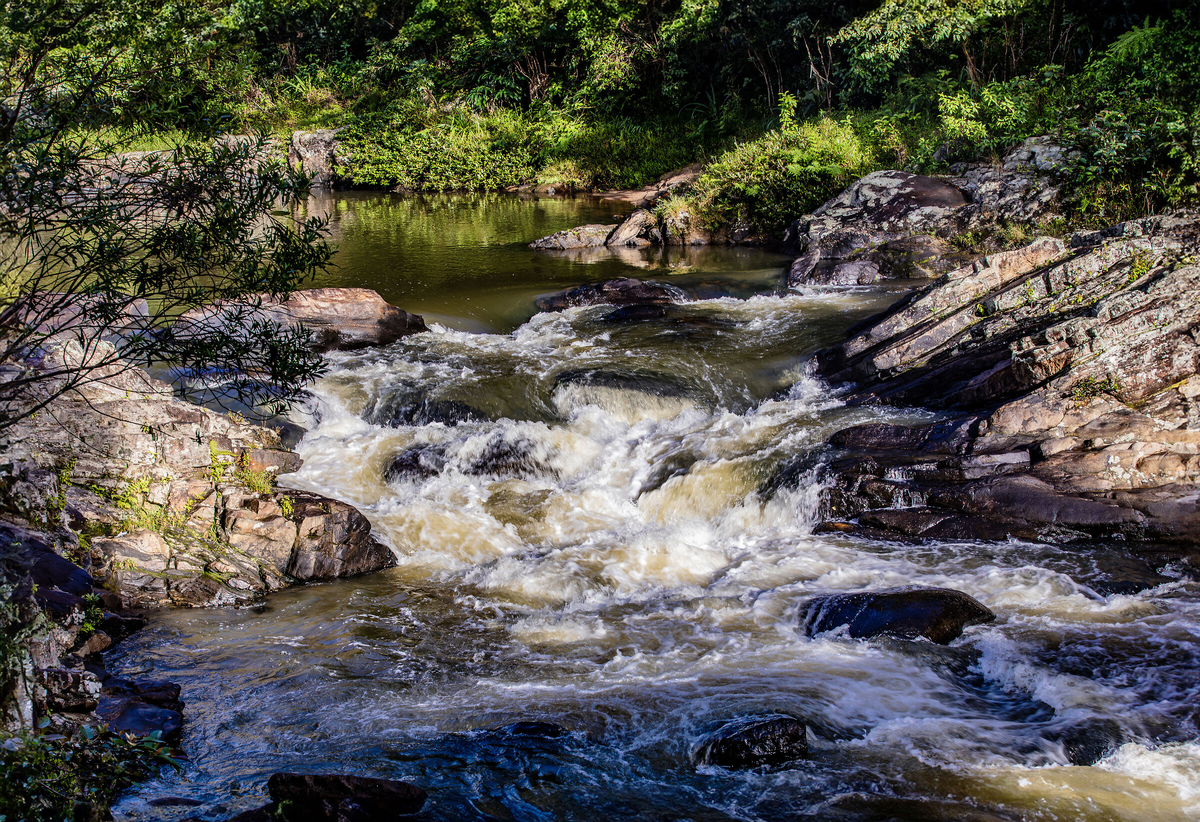 Ranomafana reserve Madagascar