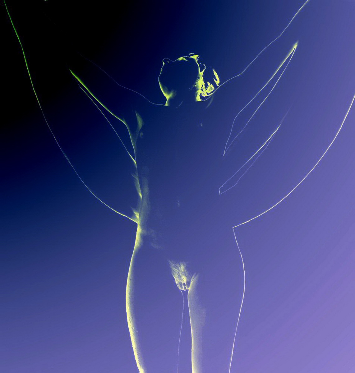 Libellula