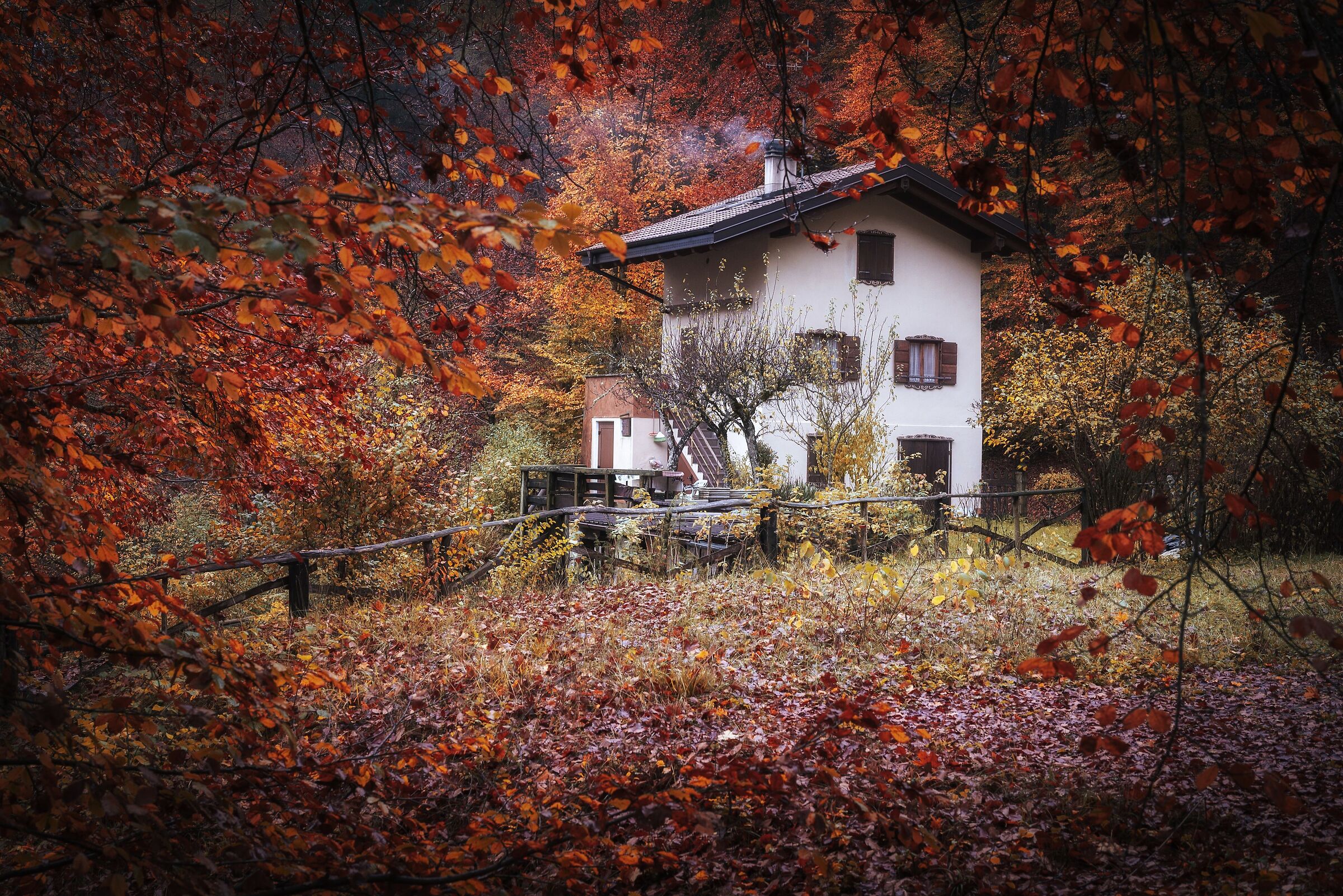 The beautiful forest house