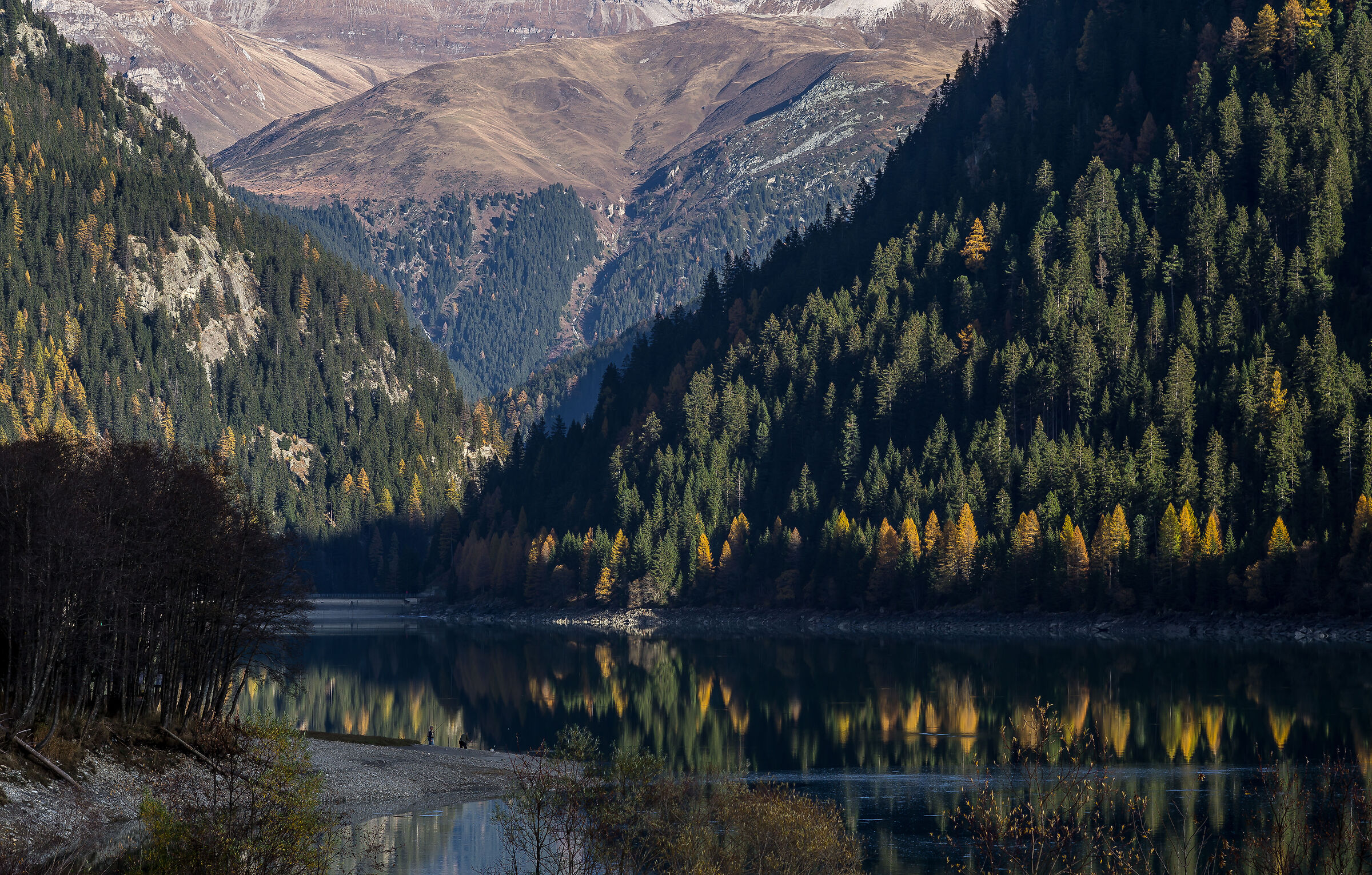 Suisse