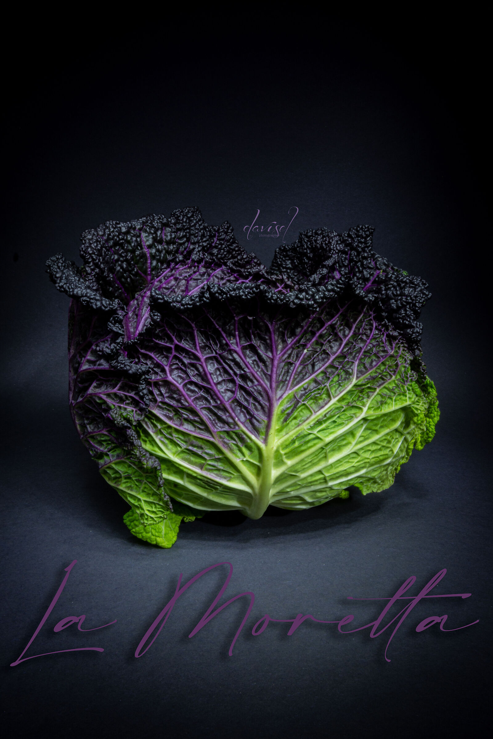 Savoy cabbage Moretta