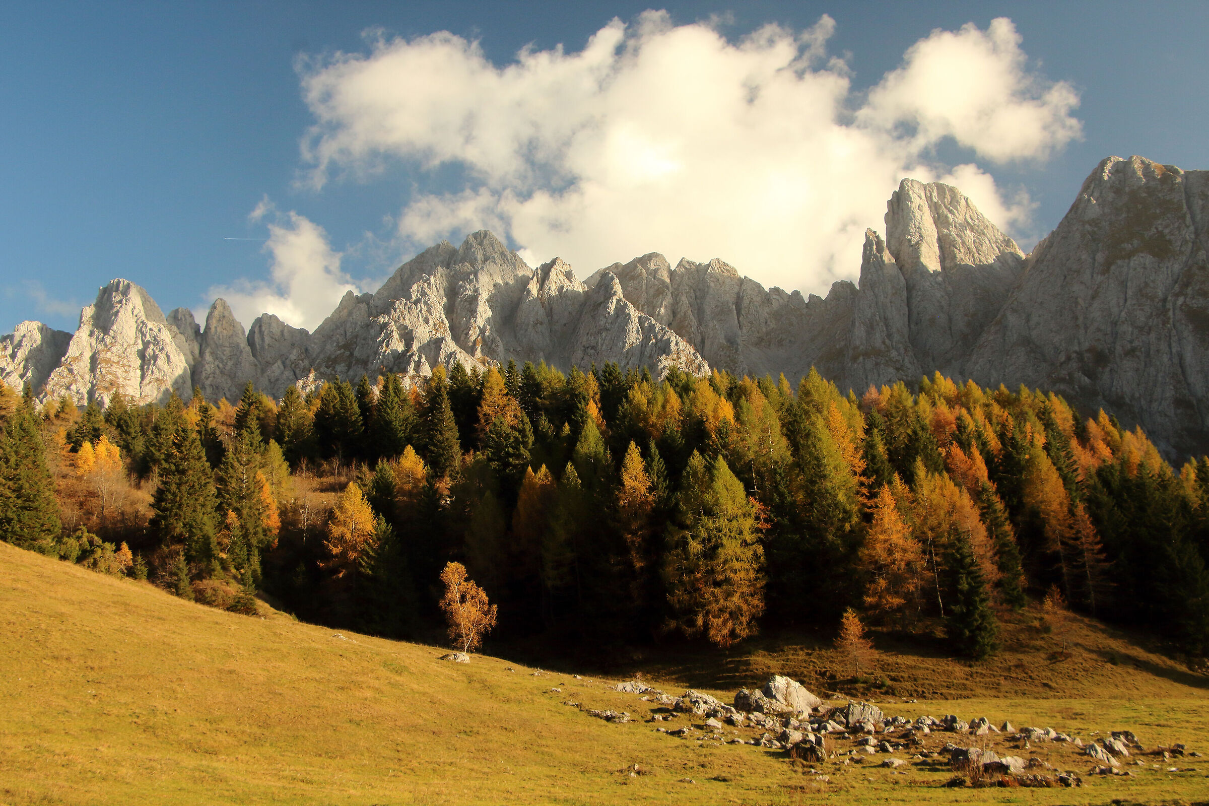 Autumn- The First Palettes