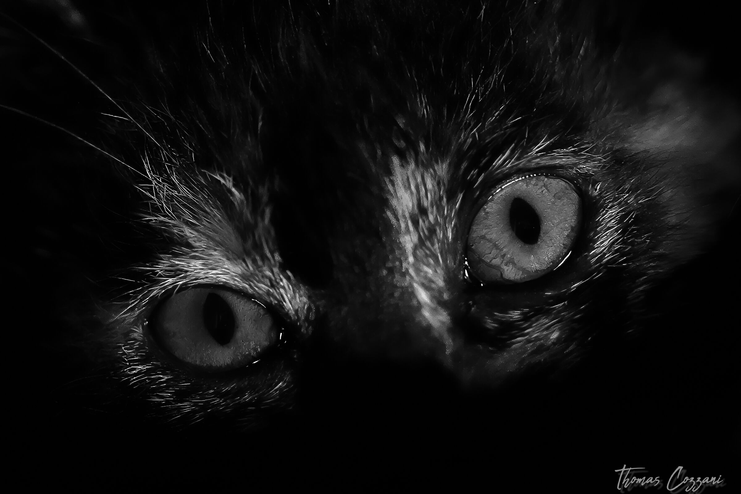 I'm keeping an eye on you!
