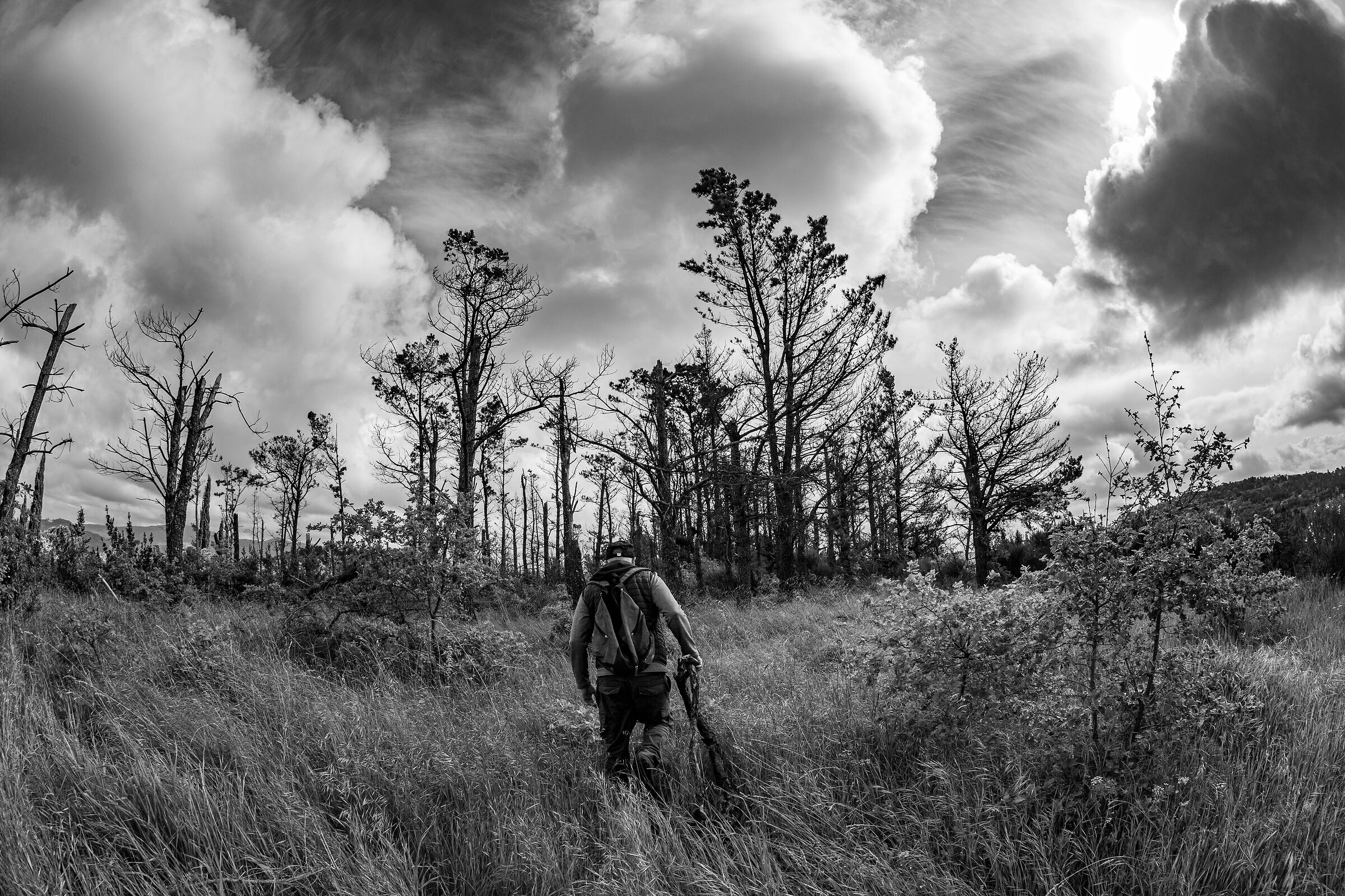 Paesaggio post vaia sui colli Aretini.