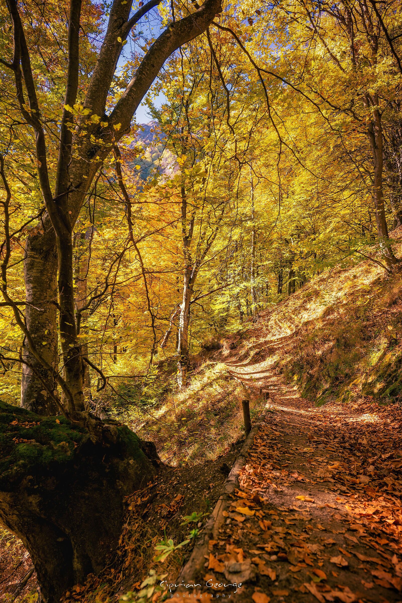 Sentiero autunnale