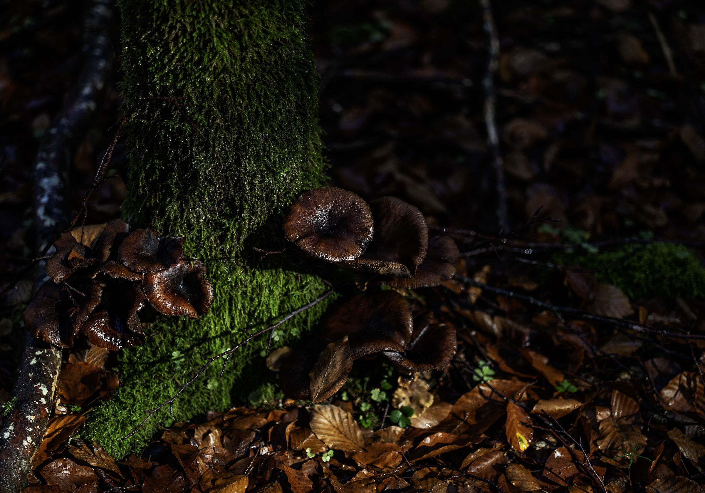 Untitled Photo