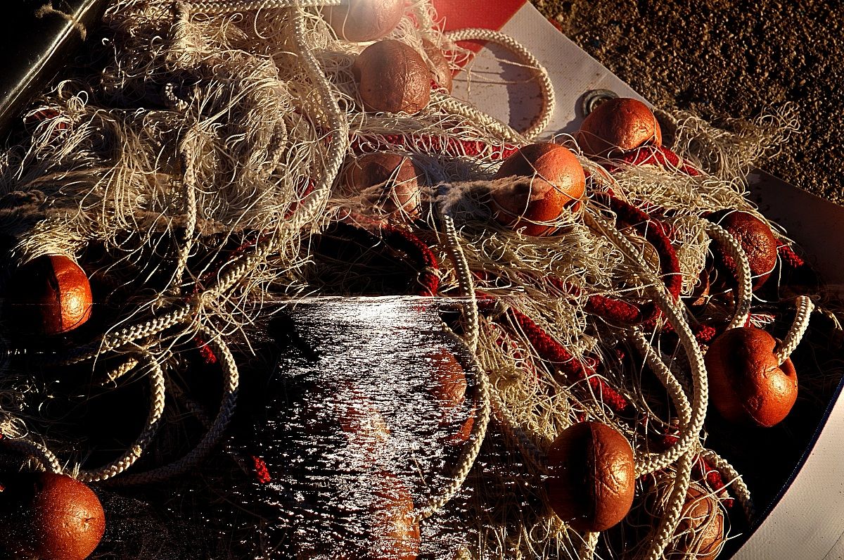 Nets into the sea ...