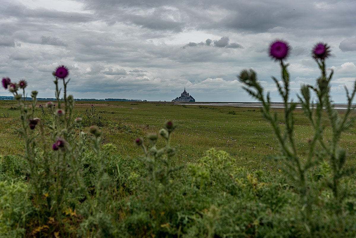 Le Mont-Saint-Michel in the distance