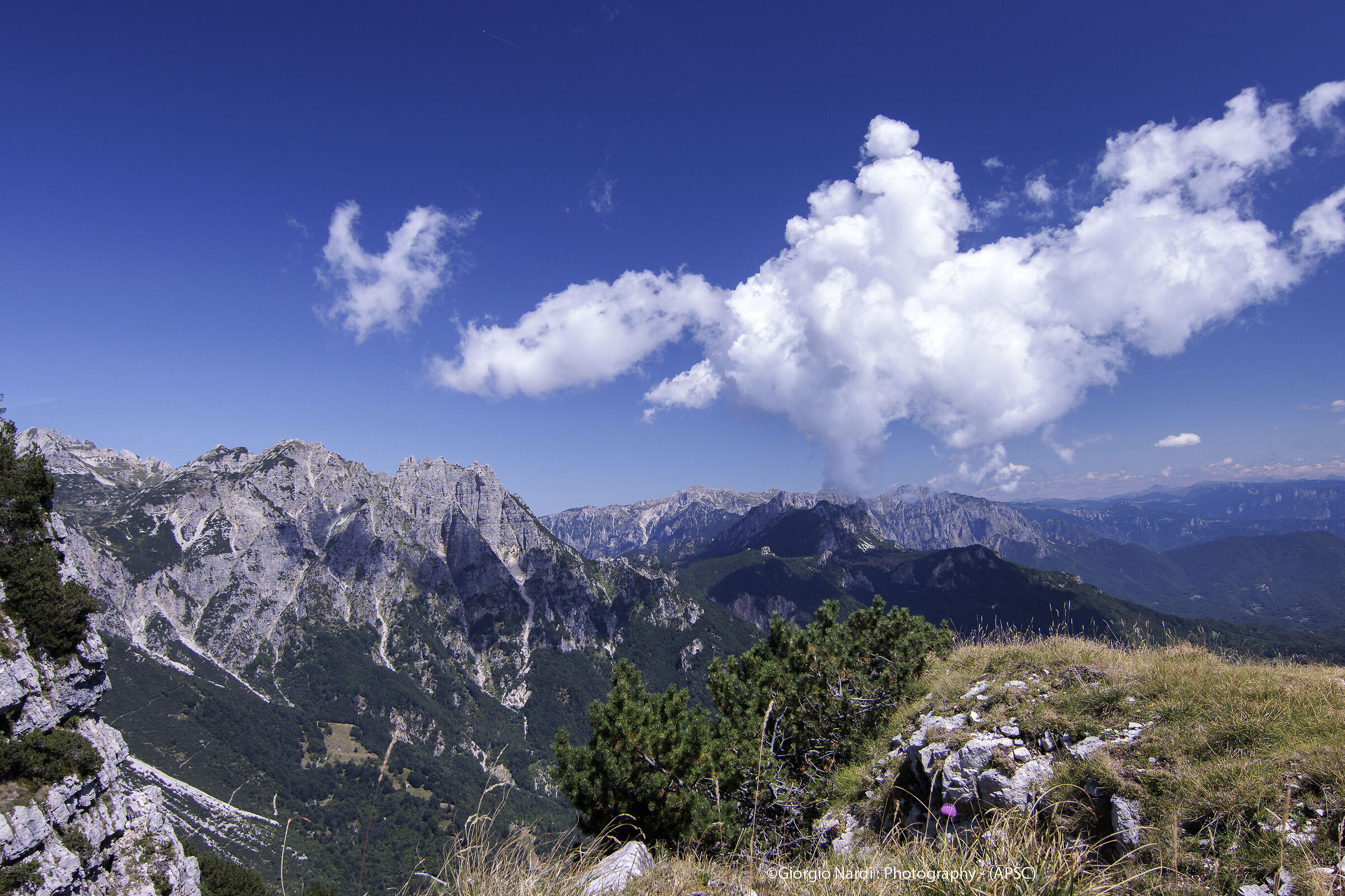 Piccole Dolomiti - Stagione 2023 (Apsc)
