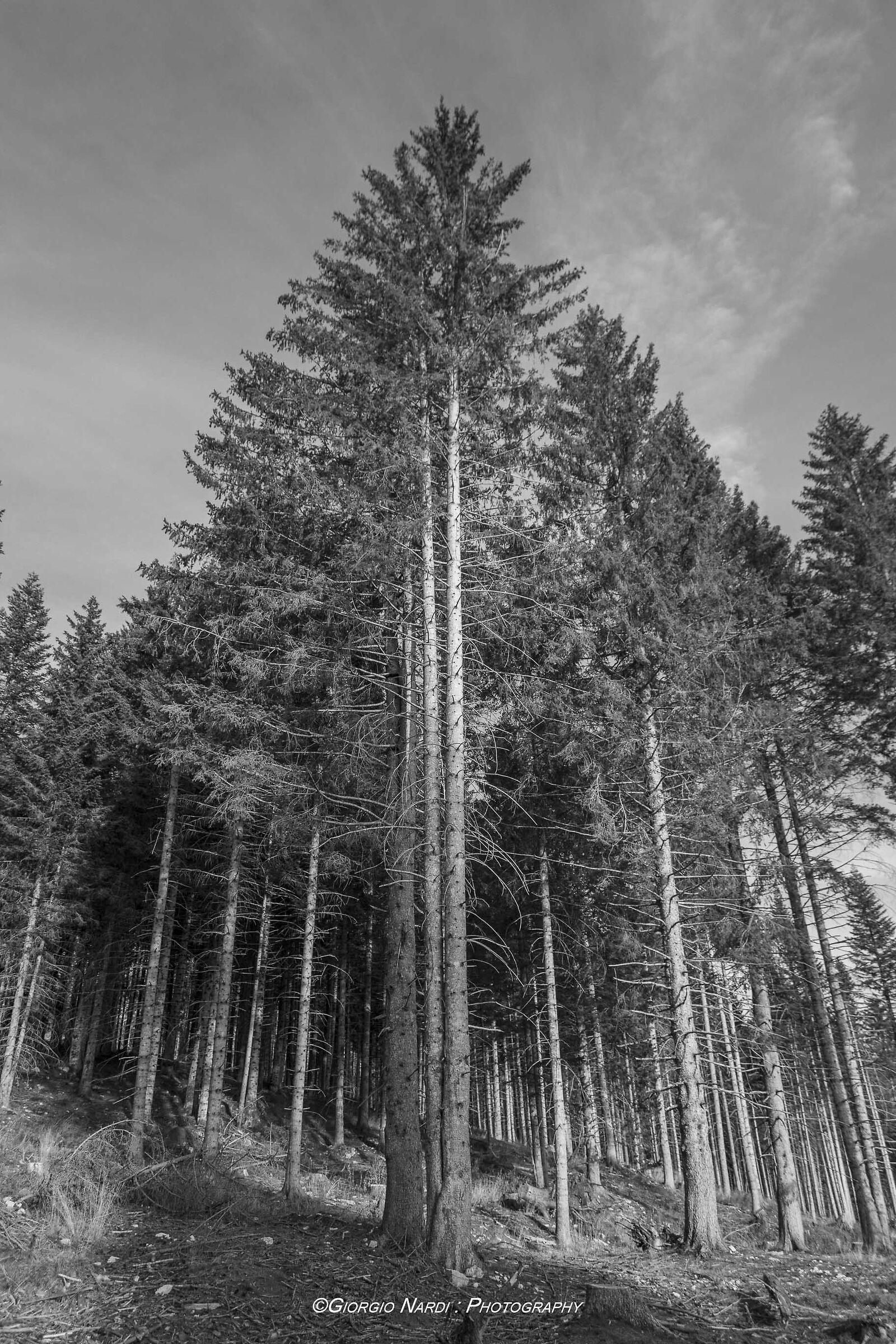 Paesaggio presso Malga Larci (Asiago) Apsc BN 2023