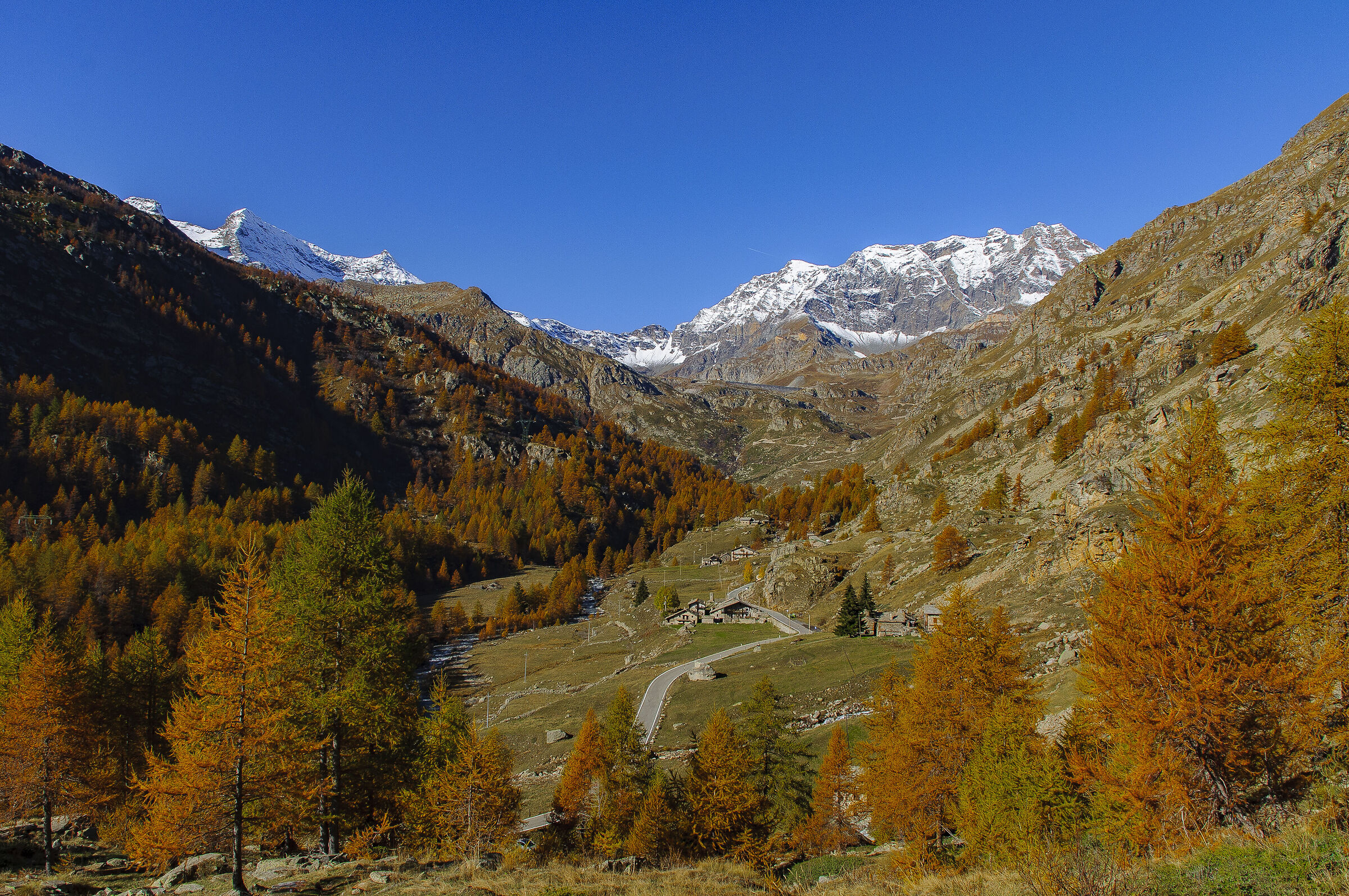Ceresole Reale
