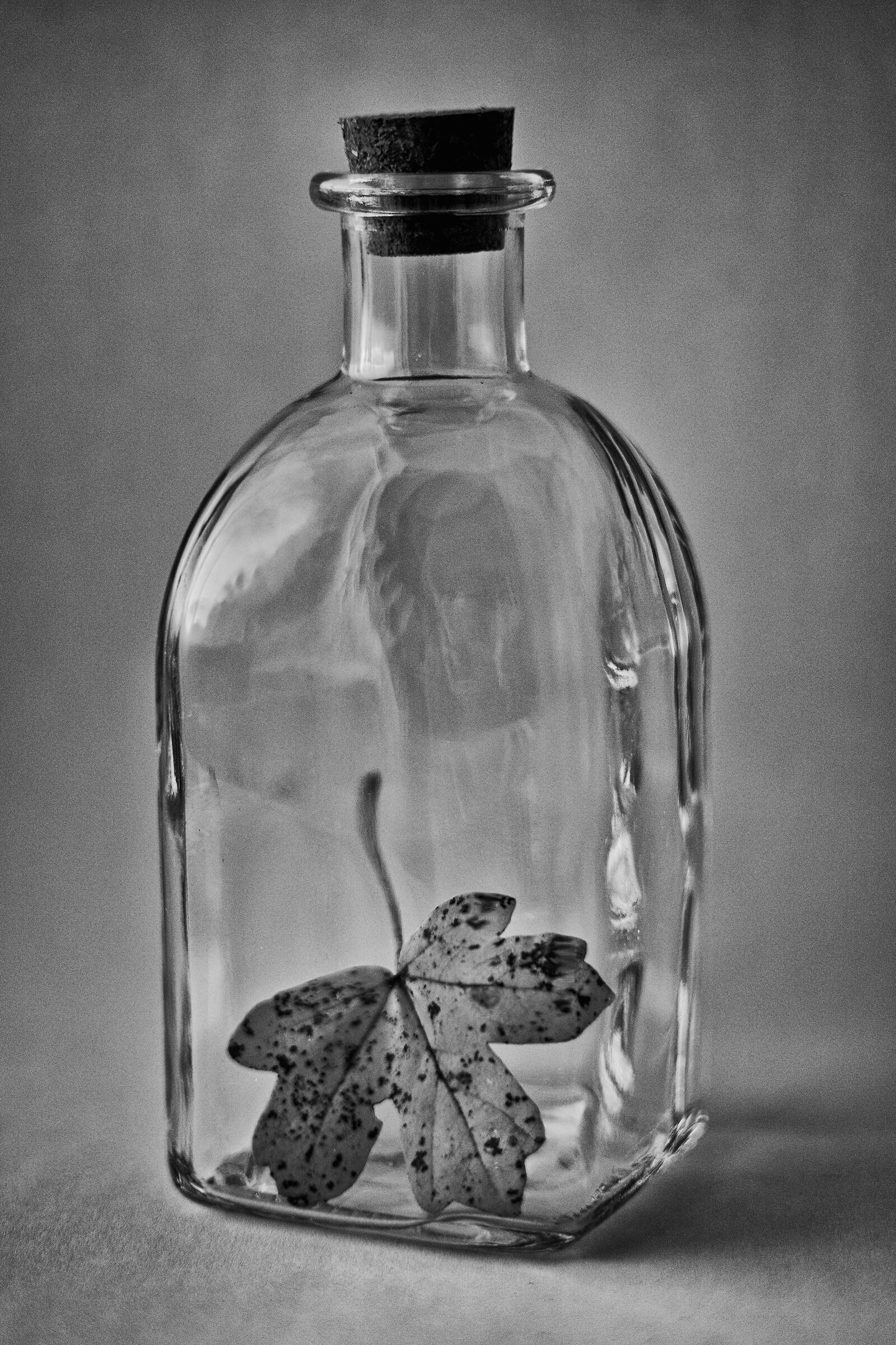 bianco e nero