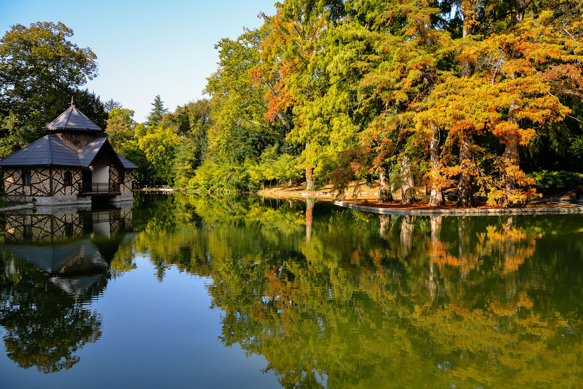Autumn