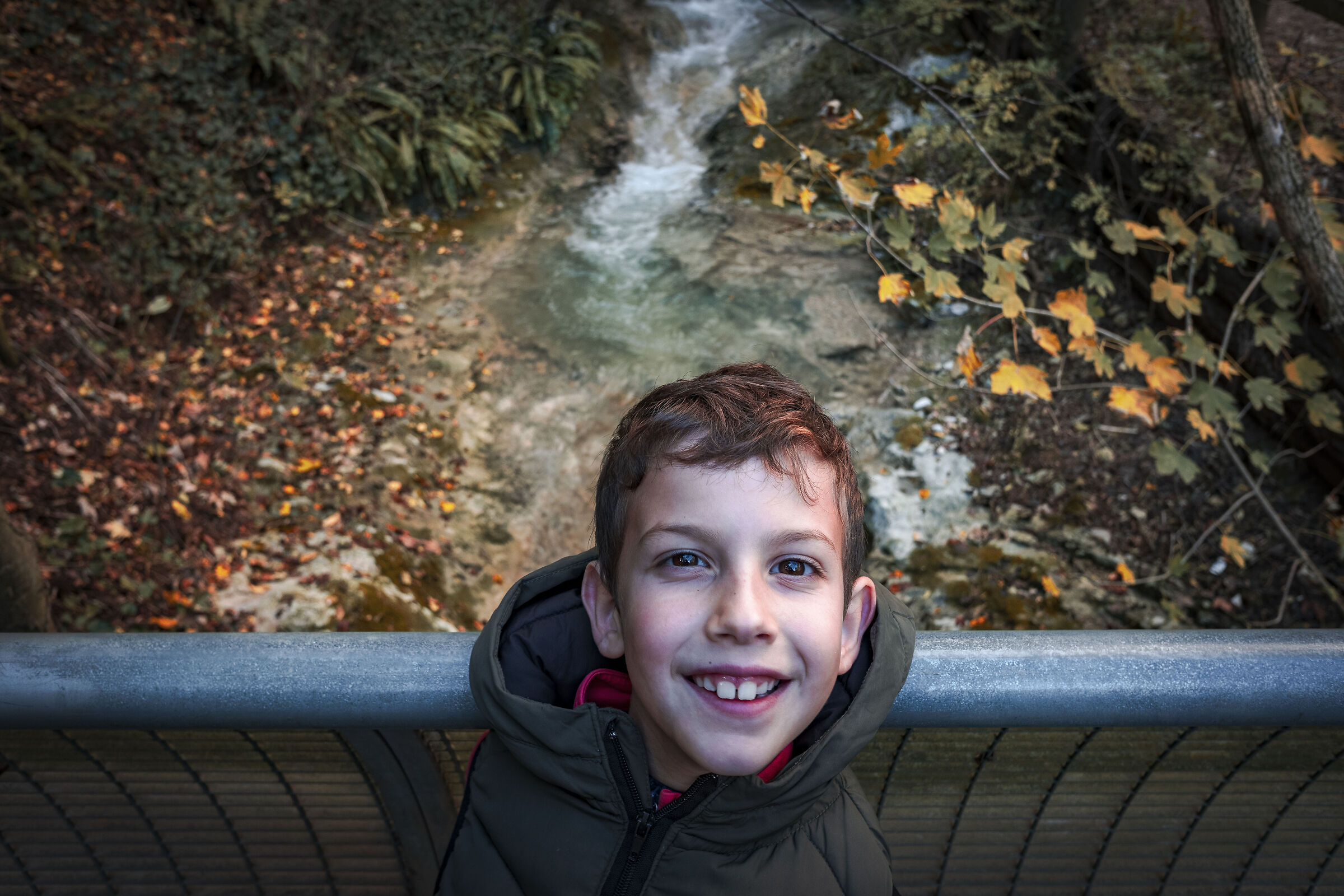 The mischievous elf of the woods