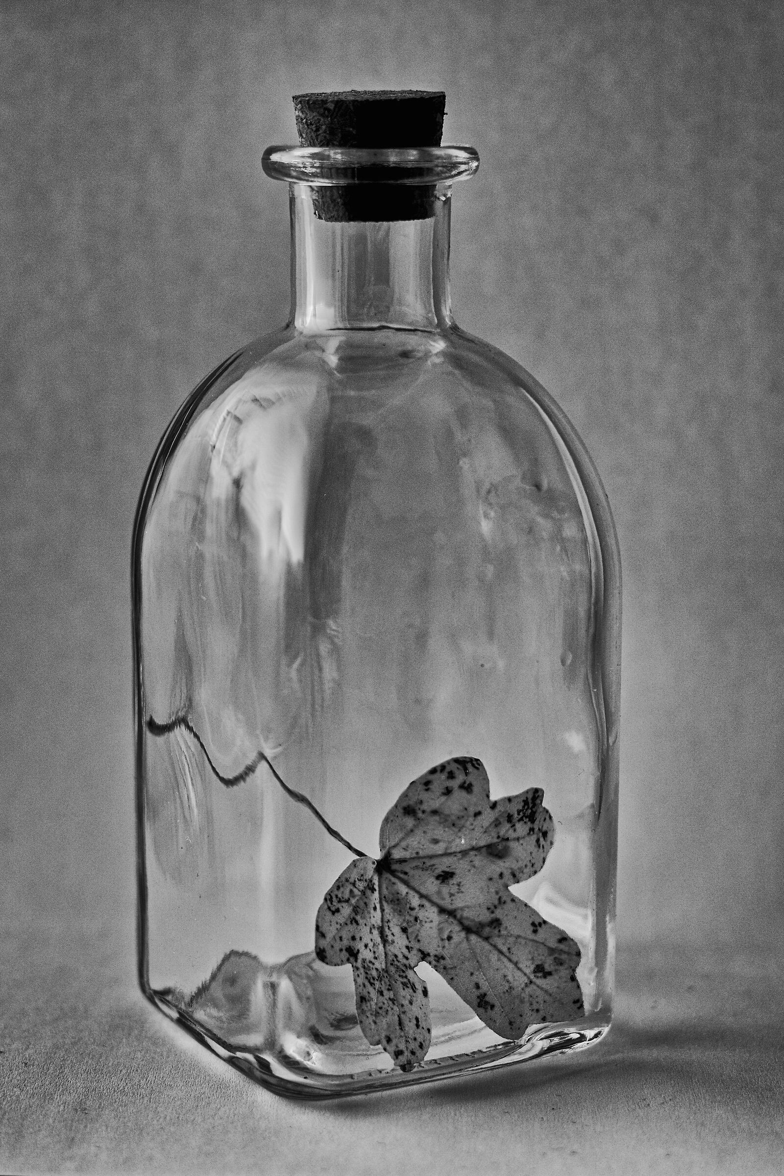 bianco e nero