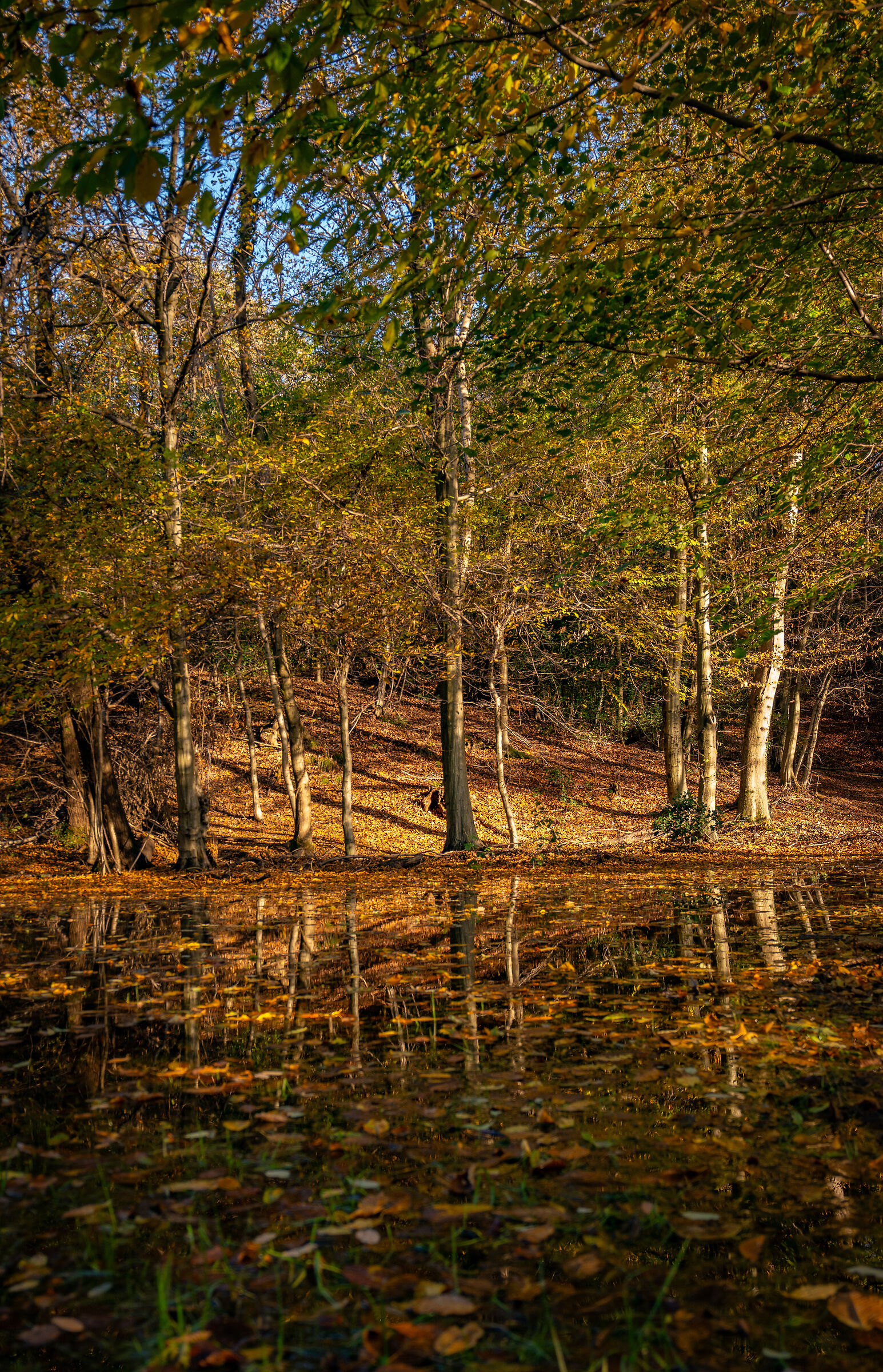 Autumn in Ticino