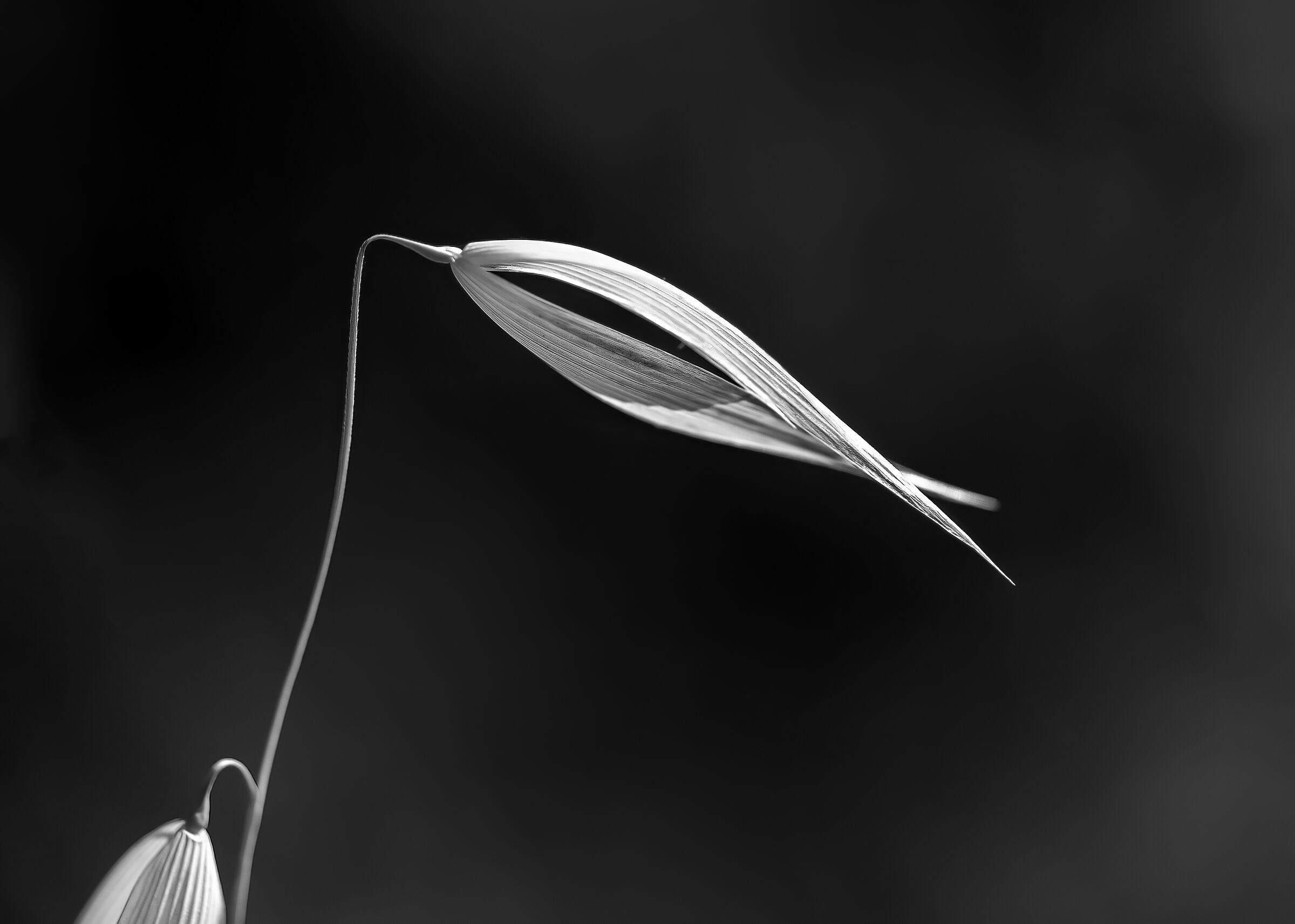 Forme semplici-14...(3 foto)