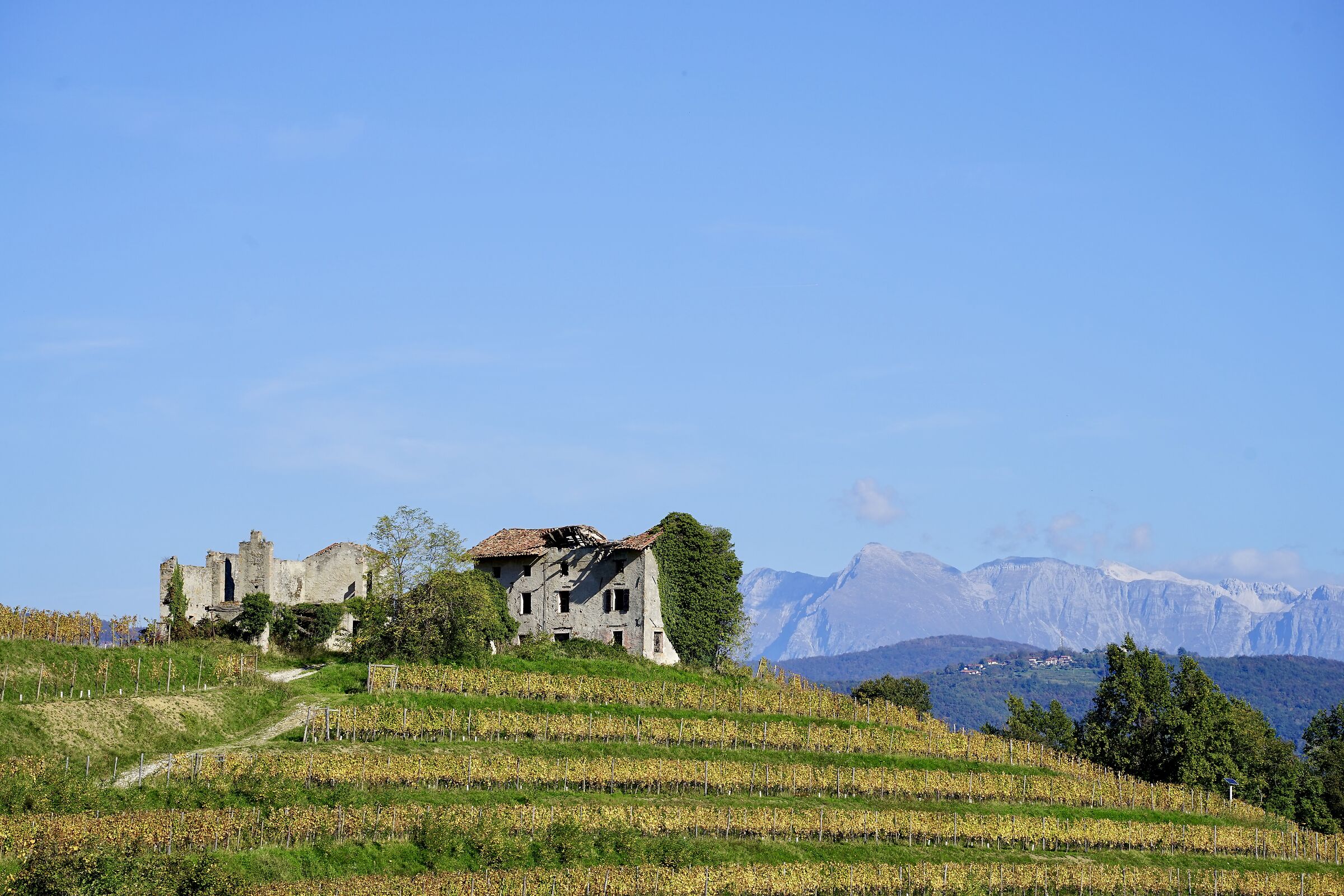 Ruins on the Collio Goriziano