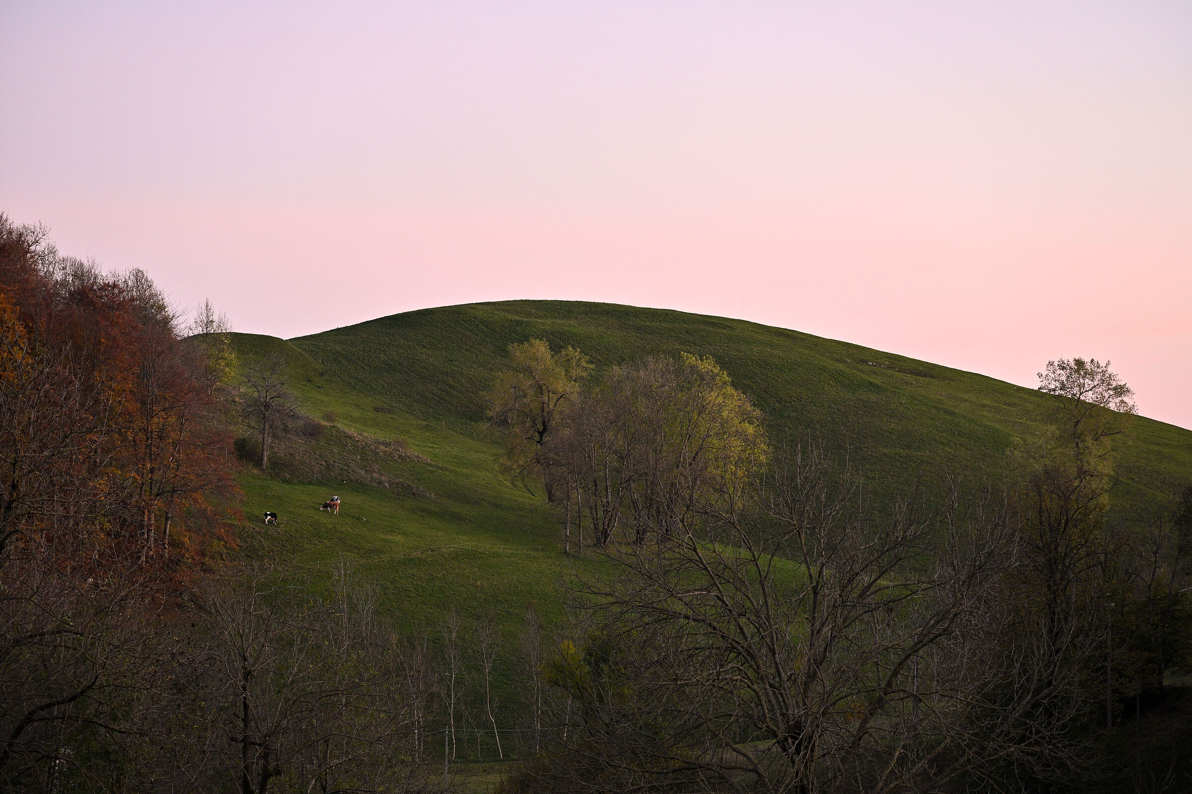 Return with the sunset