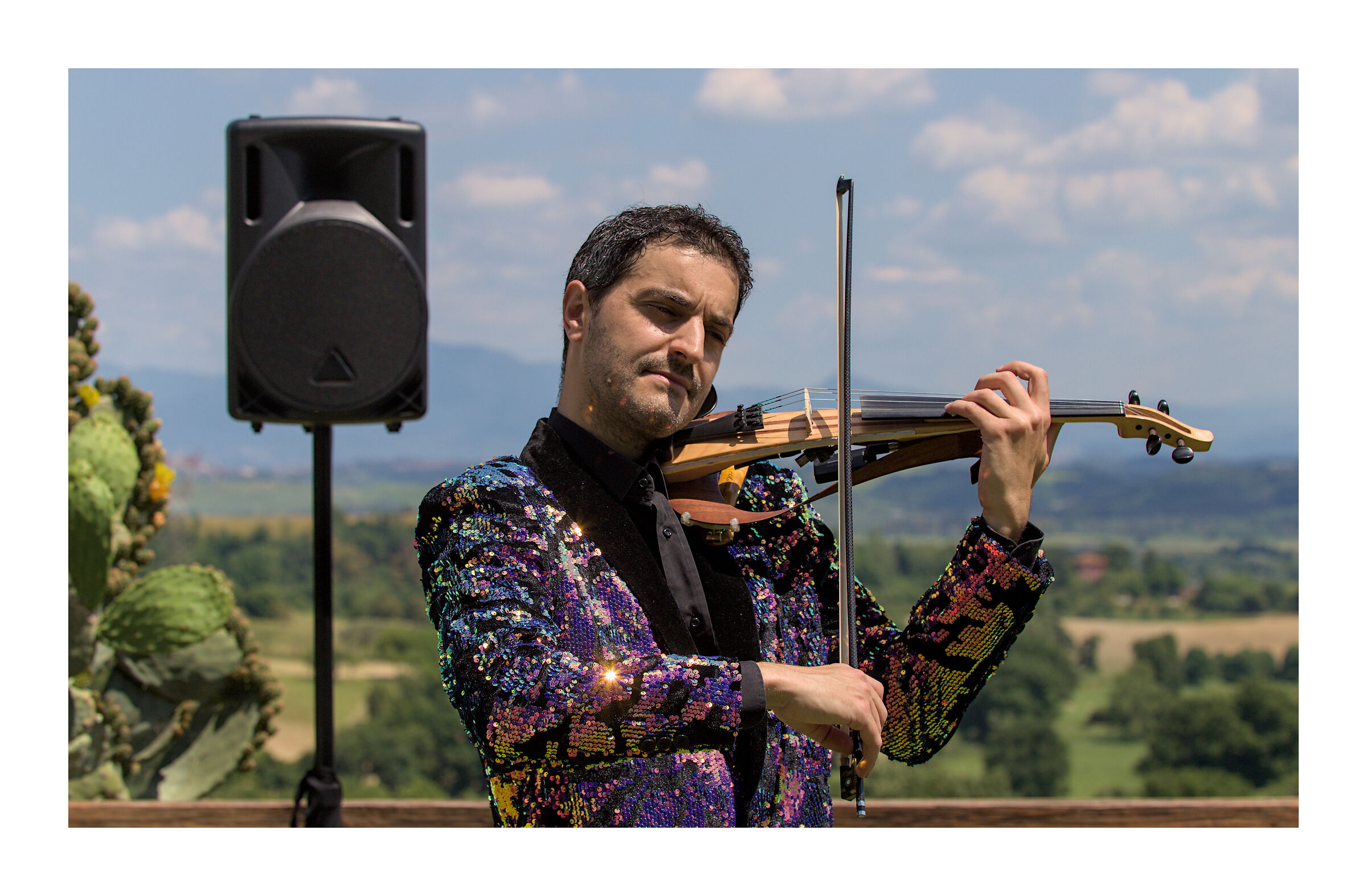 The violinist