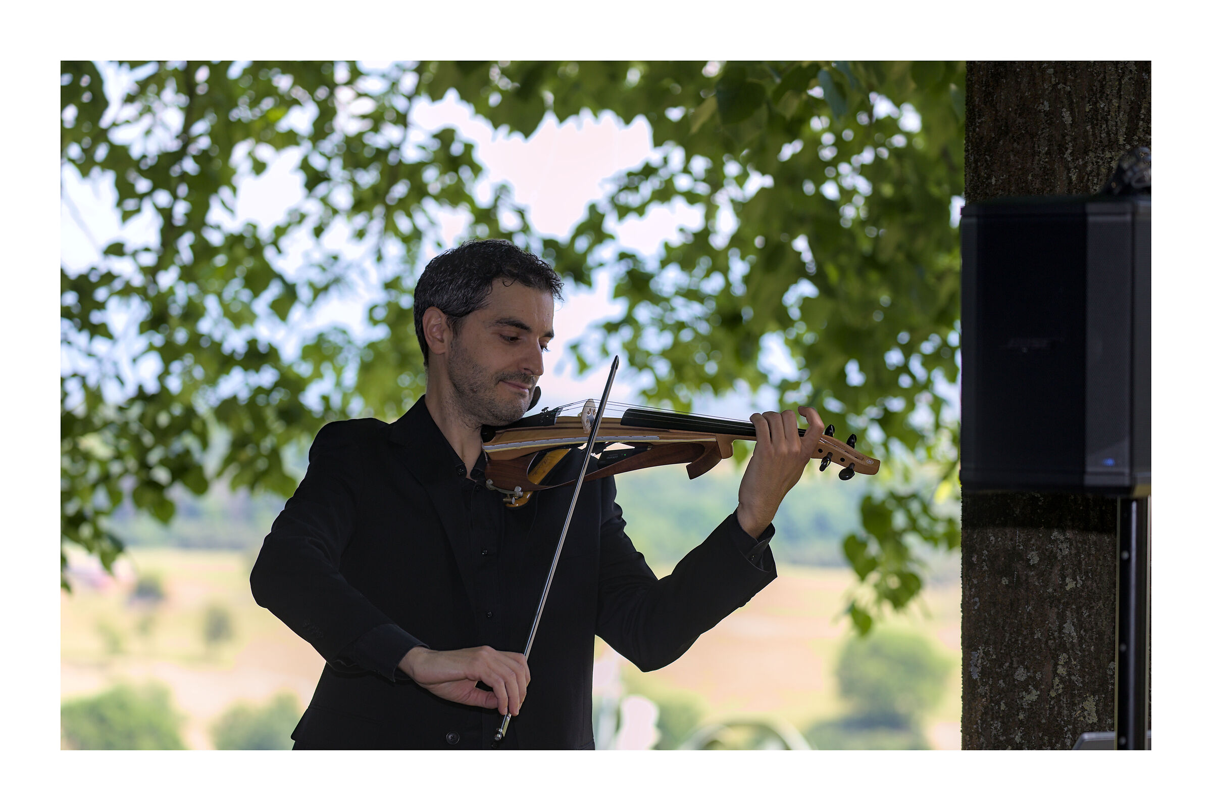 The Violinist II