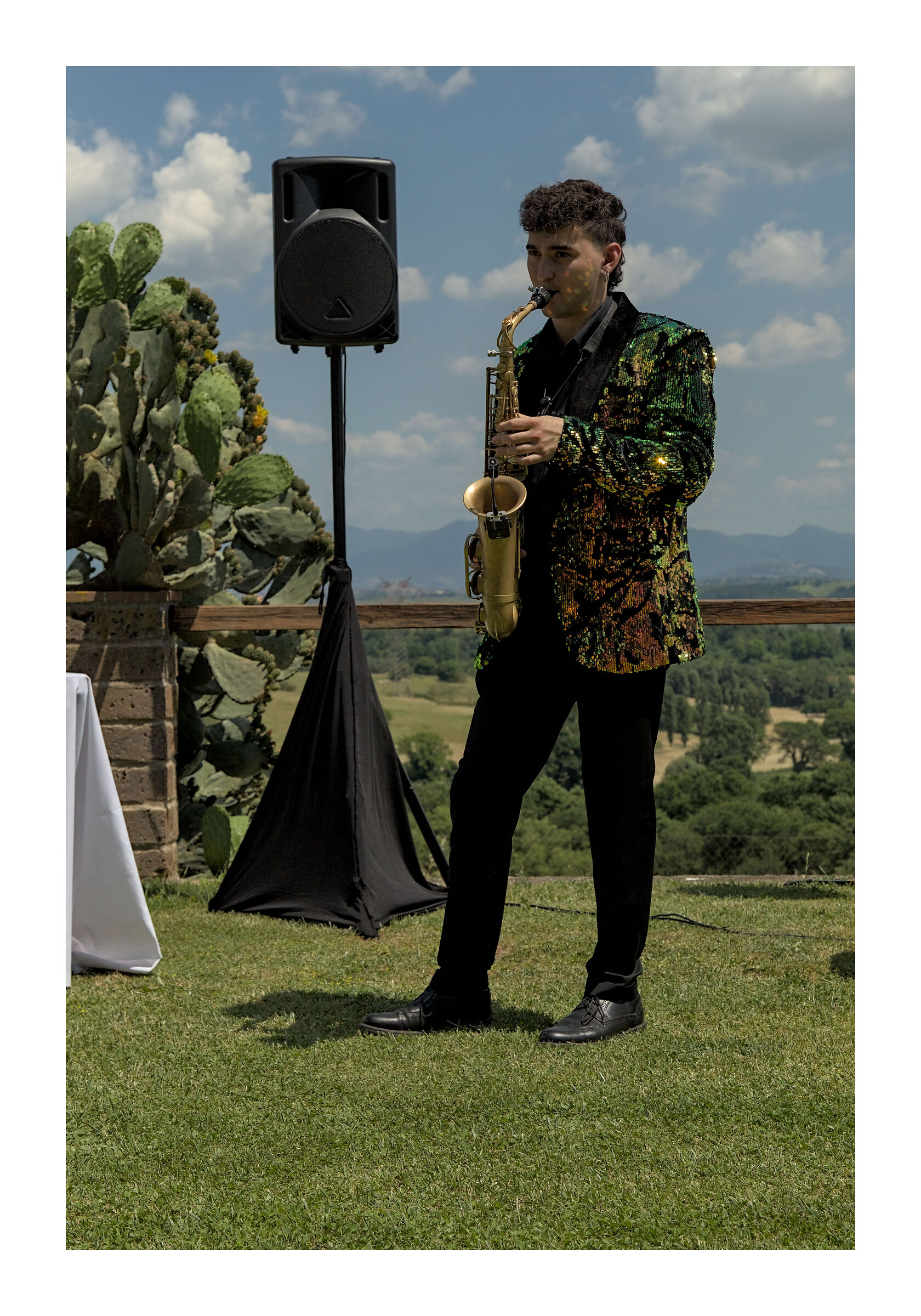 The Saxophonist II