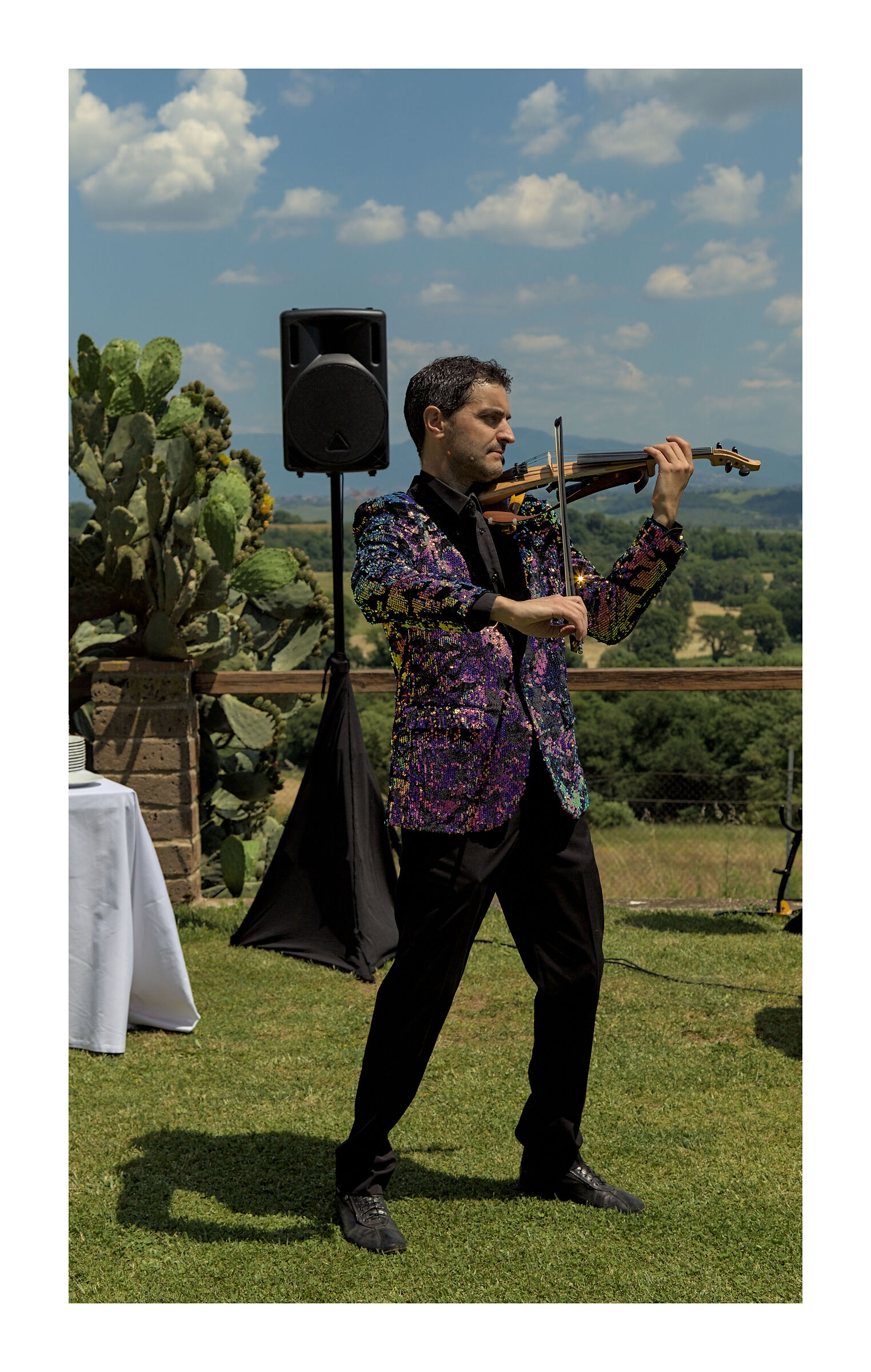The Violinist III
