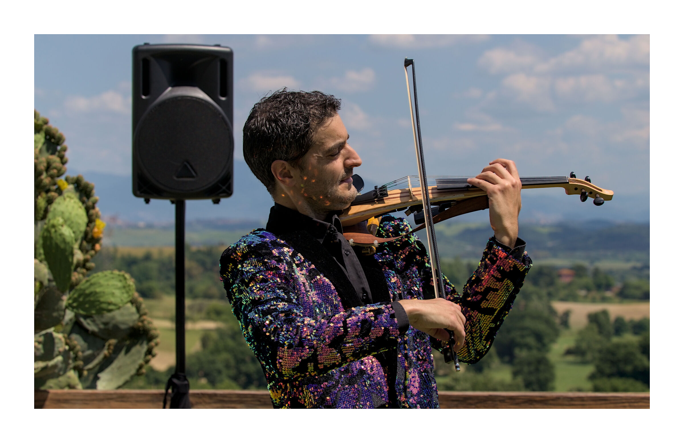 The Violinist IV