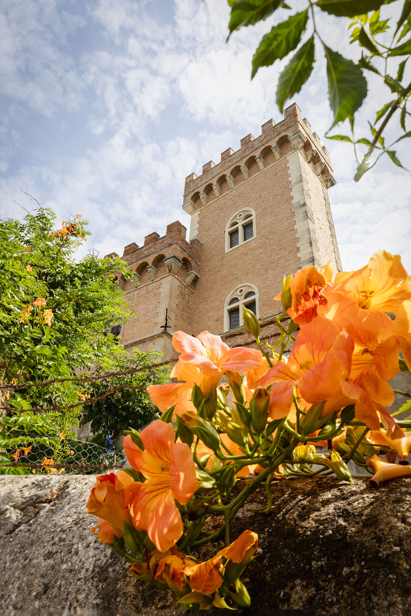 Bolgheri