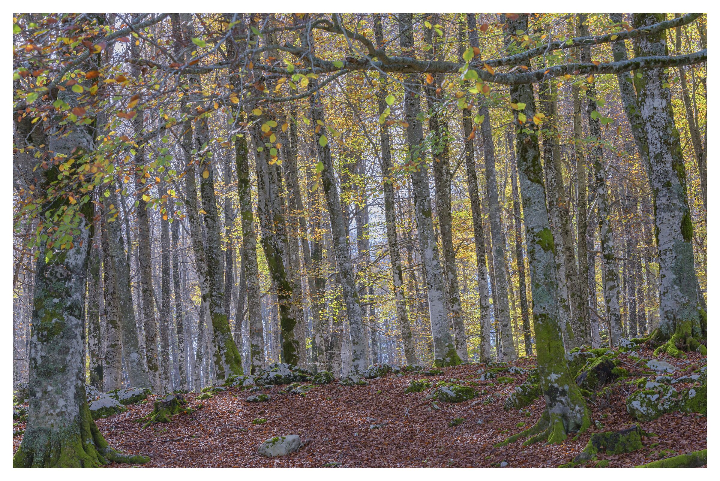 And now how do I get out?