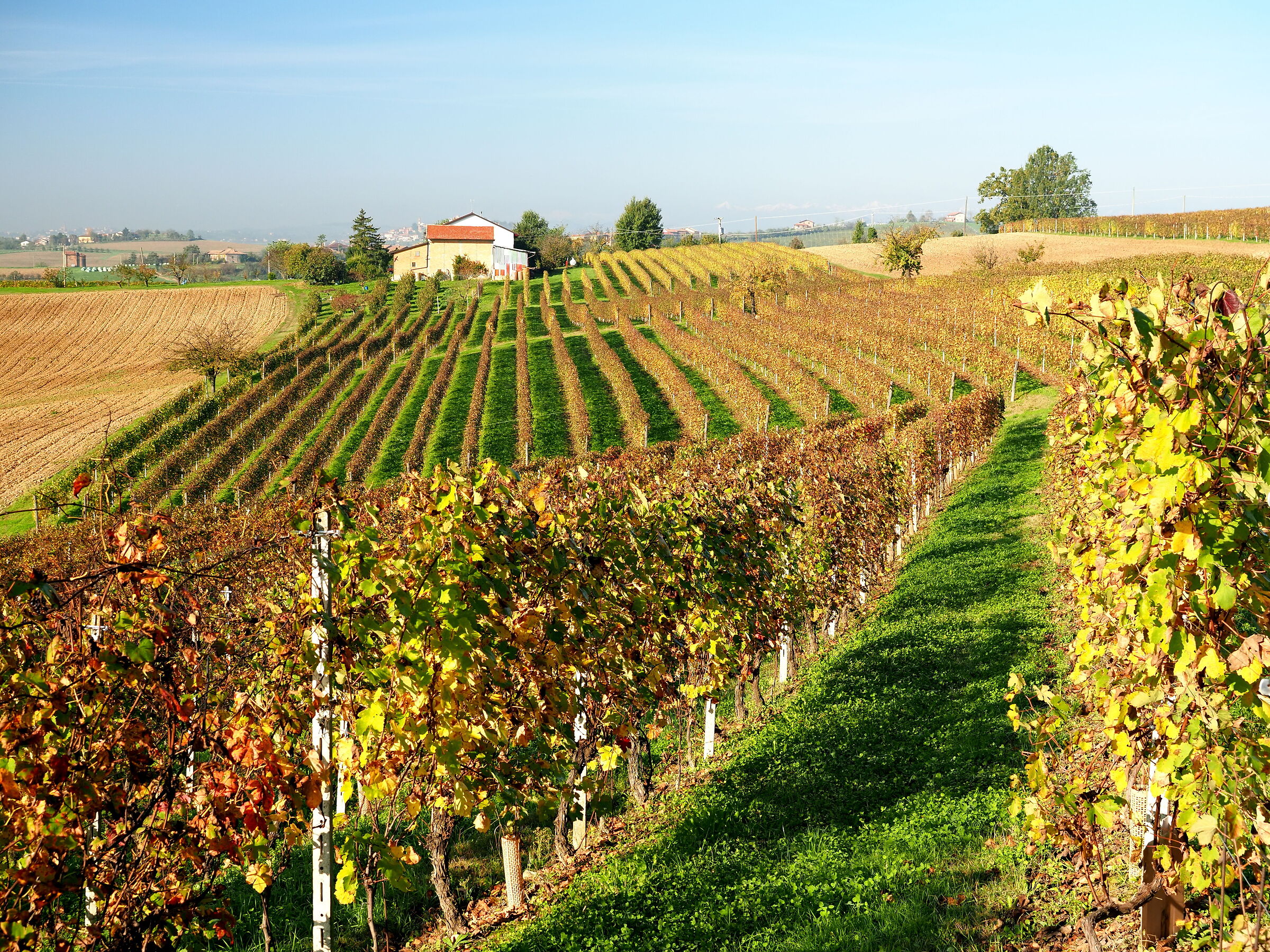 Autunno estivo...