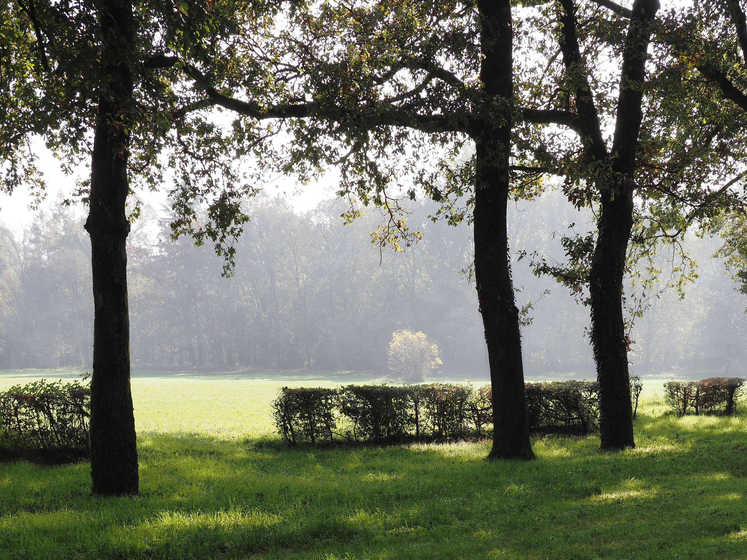 una finestra sul parco