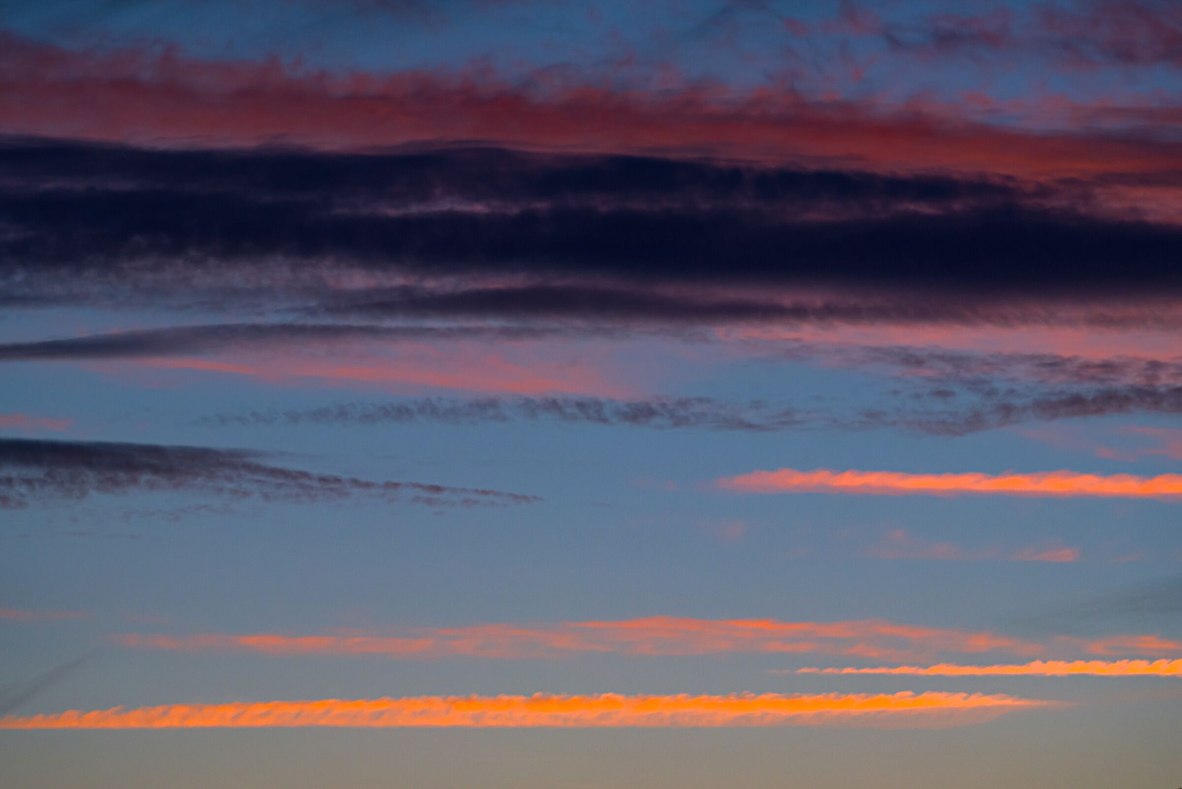 Natural brushstrokes in the Madonie