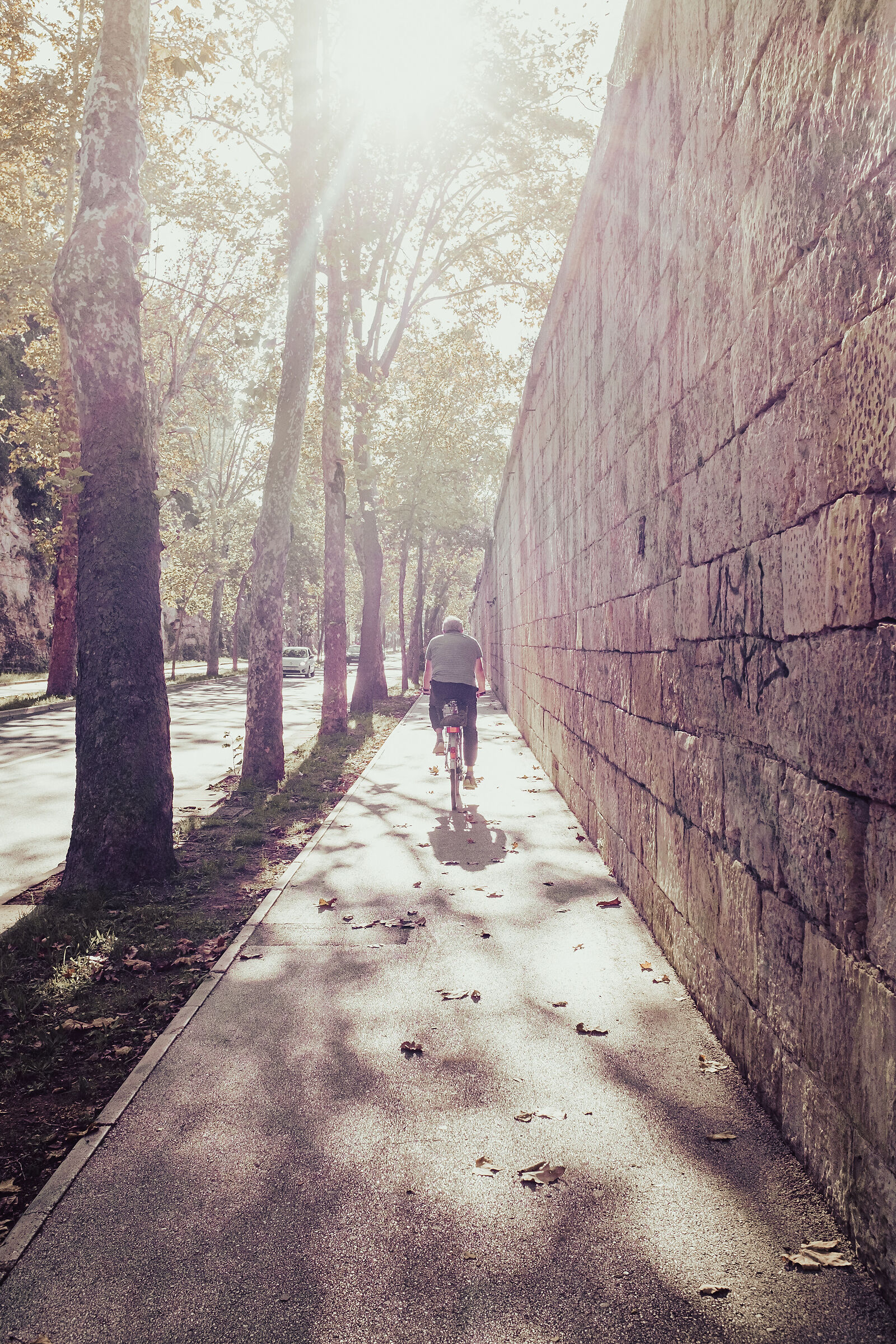 In bici