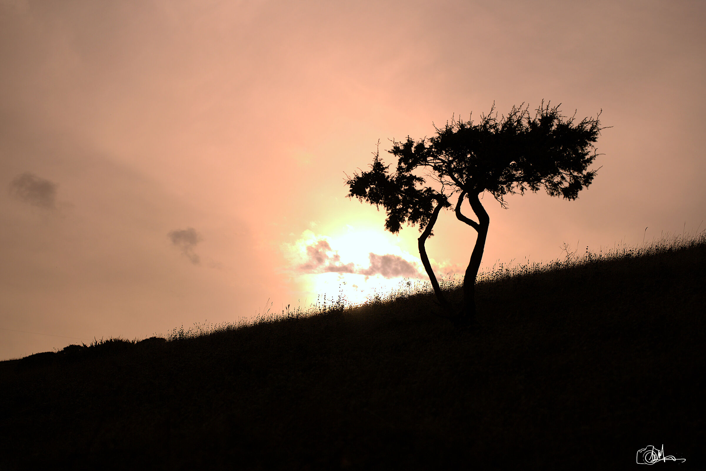 Untitled Photo