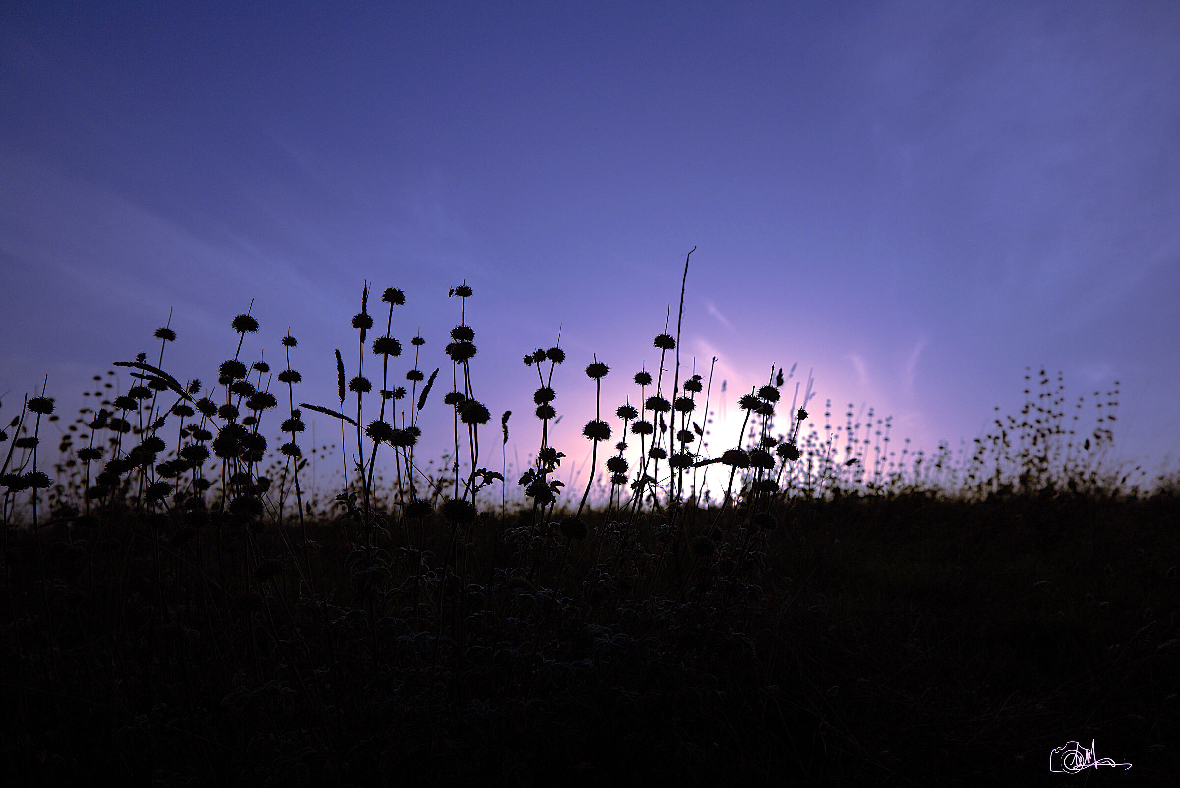 Untitled Photo