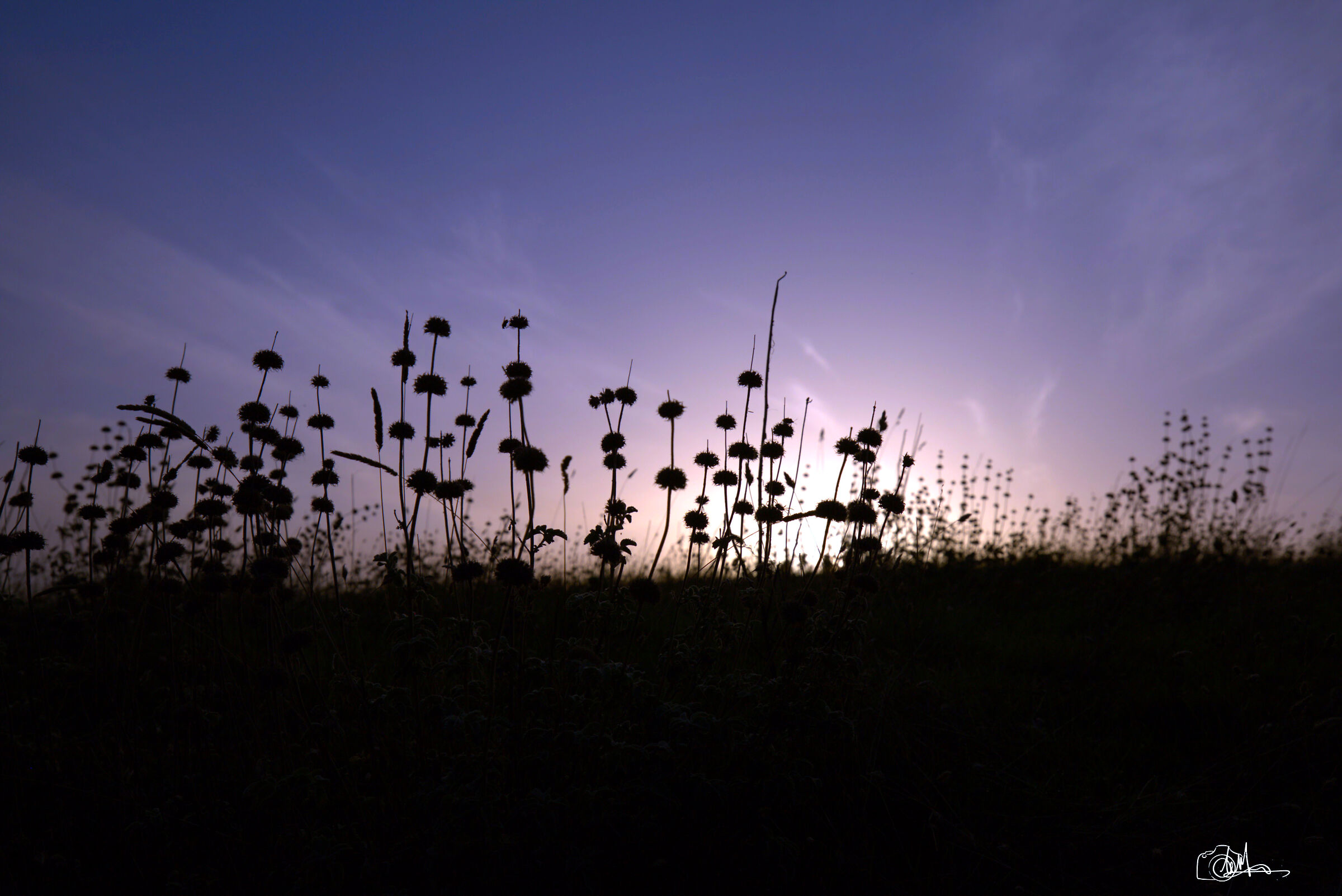 Untitled Photo