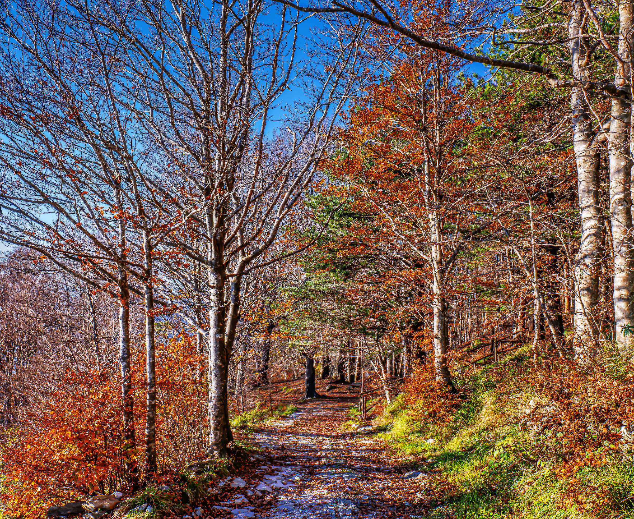 Sentiero di montagna