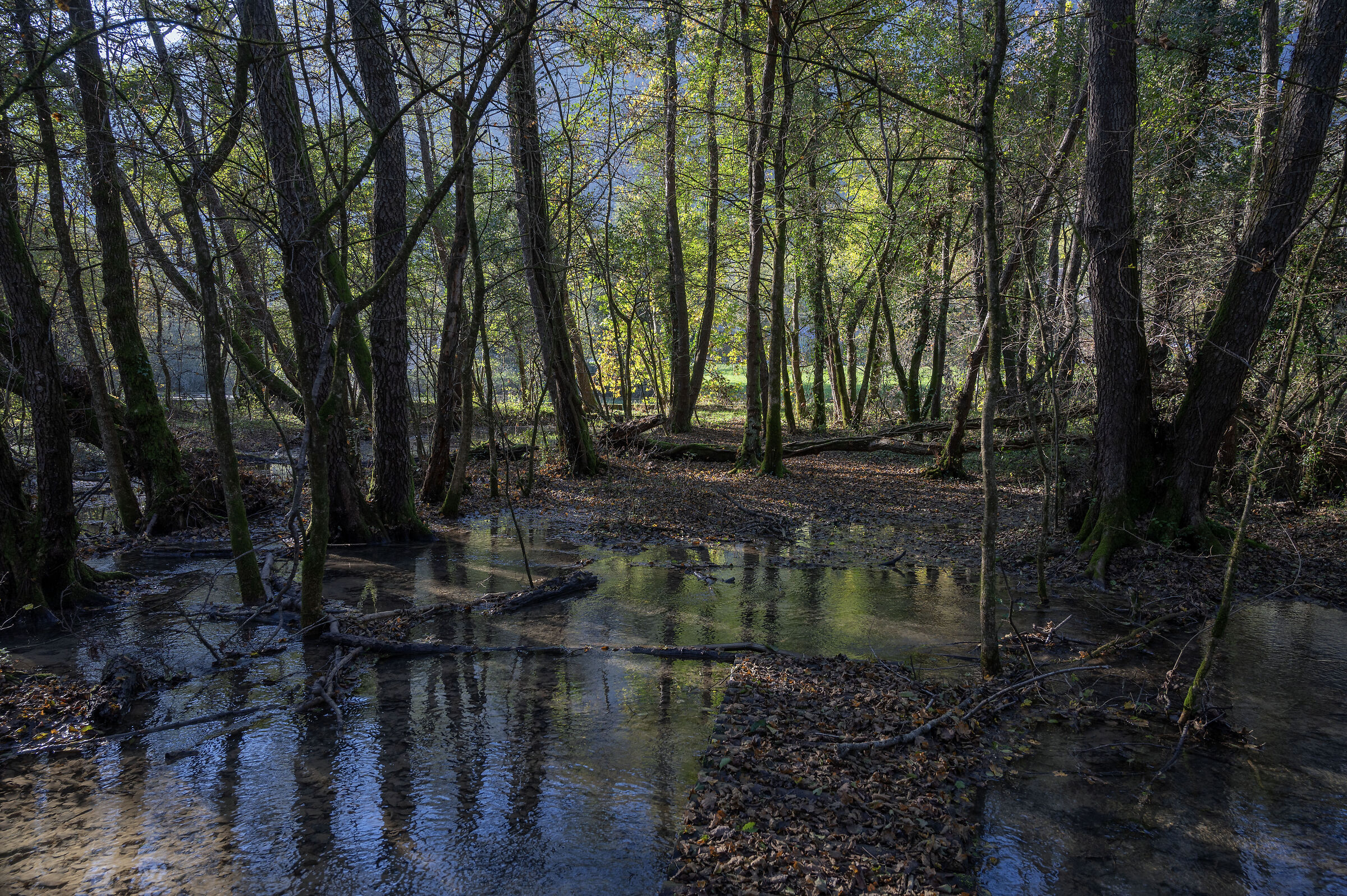 Sorgenti del Livenza