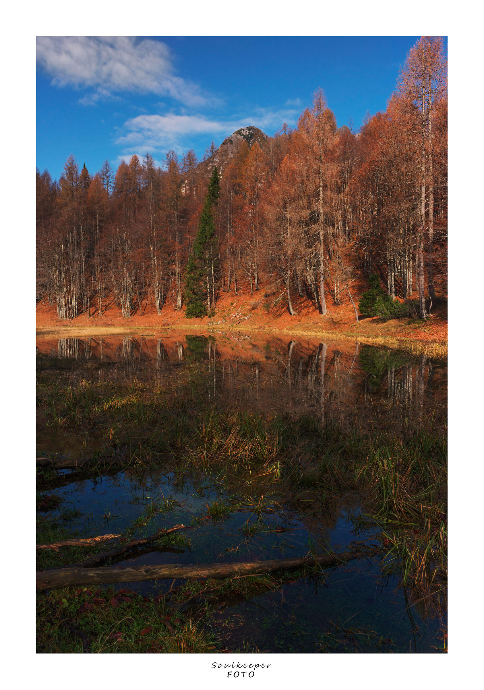 Sompdogna Lake, Julian Alps.
