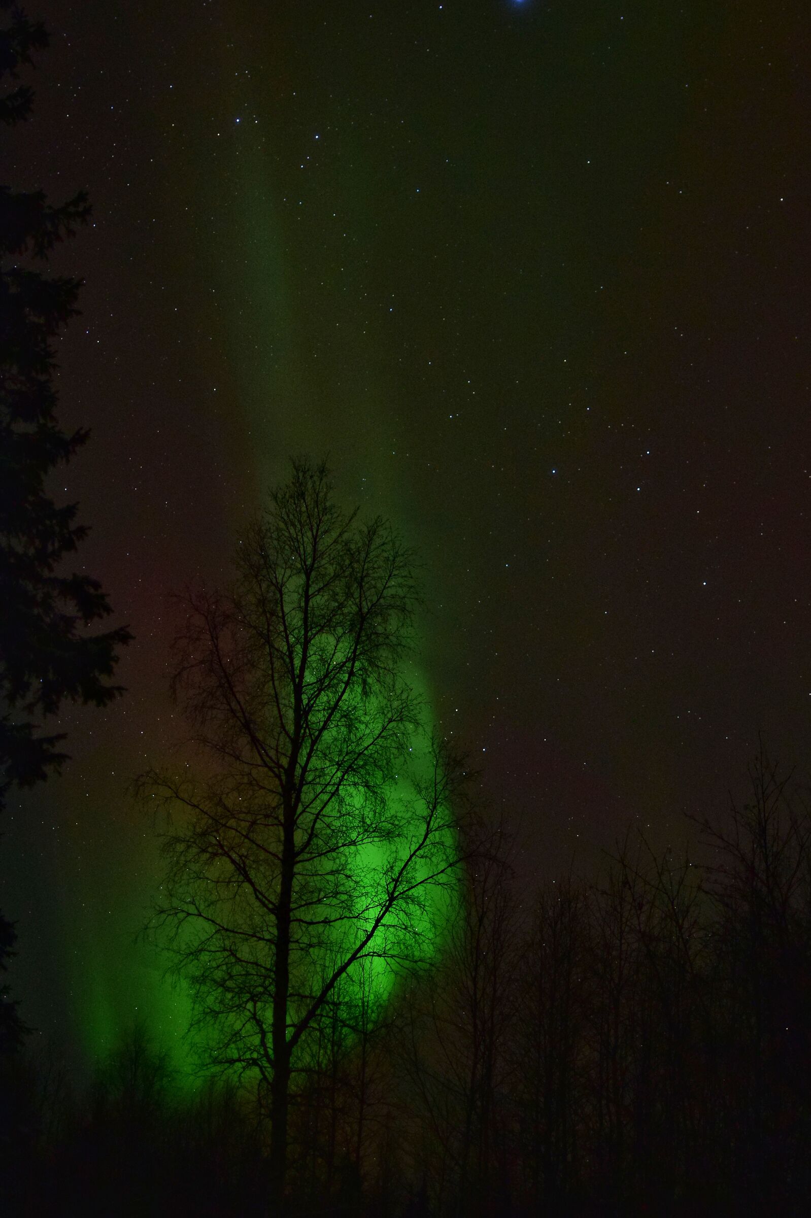 Teletrasporto - Kittila, Lapponia