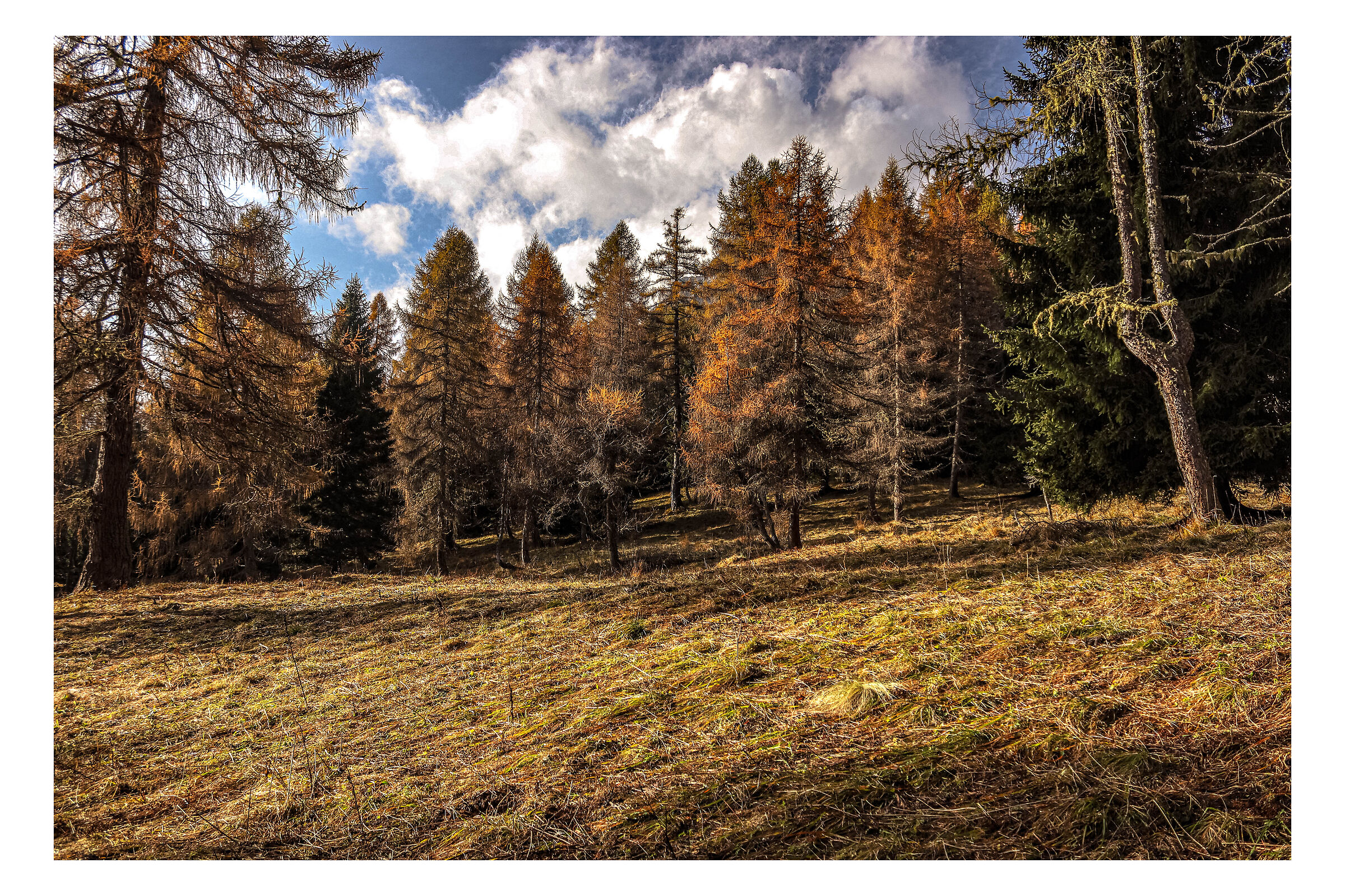 Untitled Photo